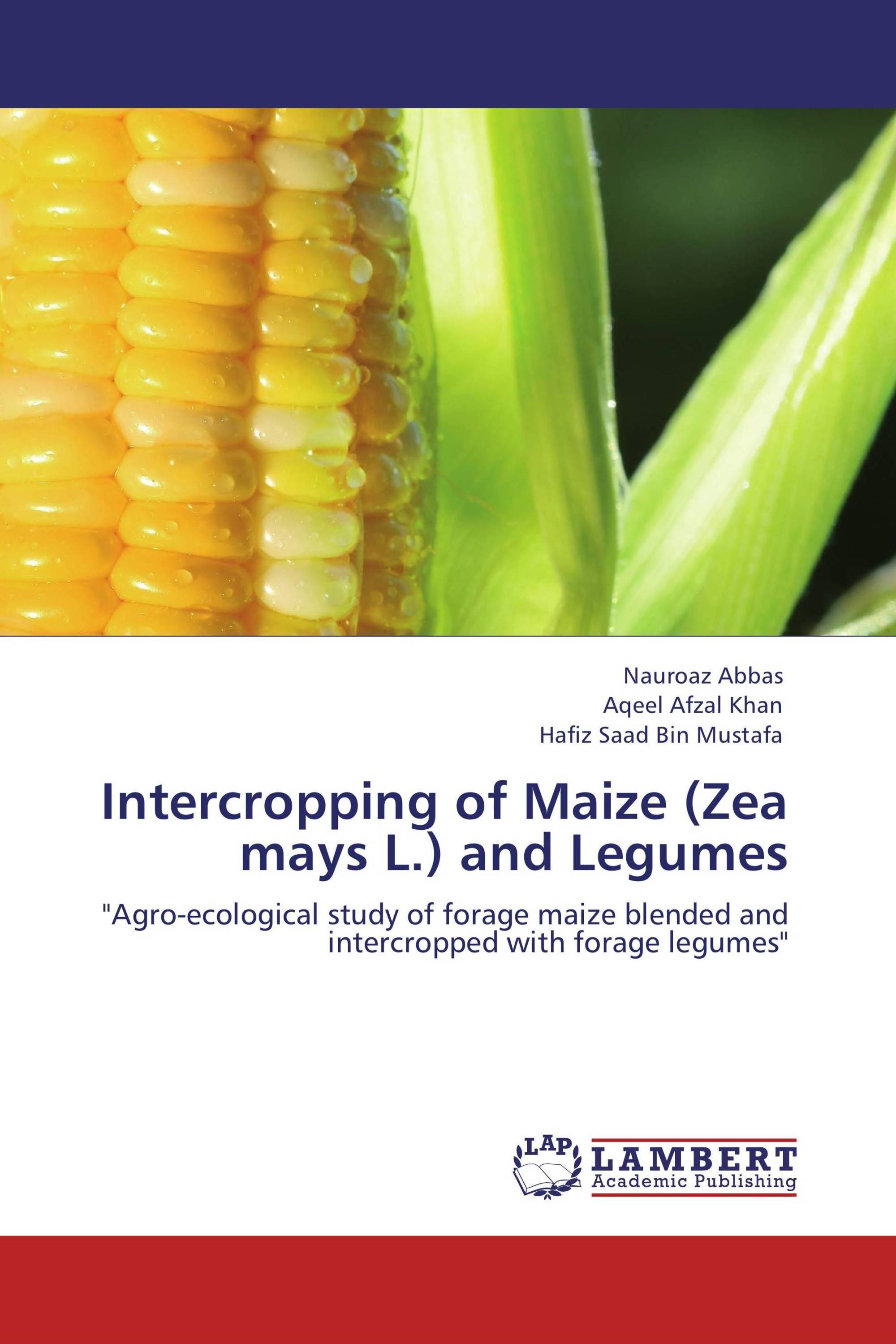 Intercropping of Maize (Zea mays L.) and Legumes