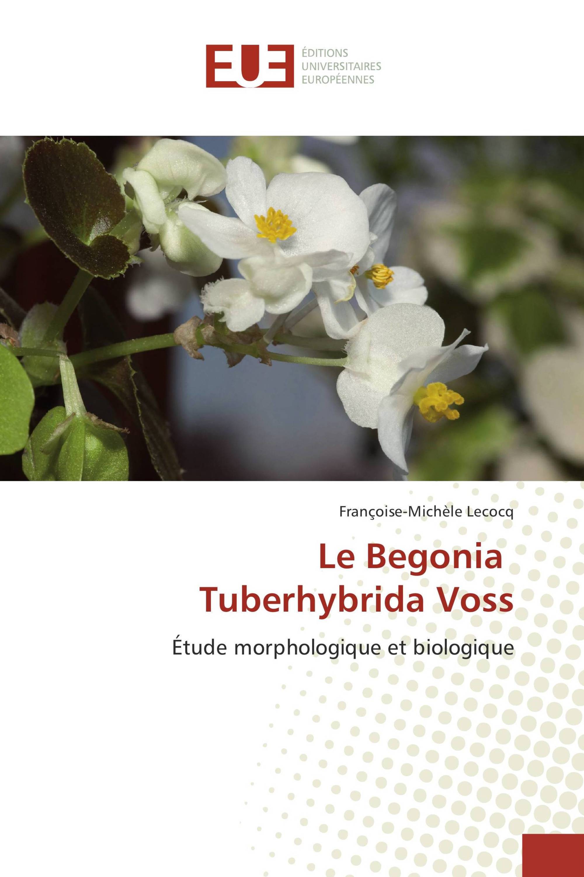 Le Begonia Tuberhybrida Voss