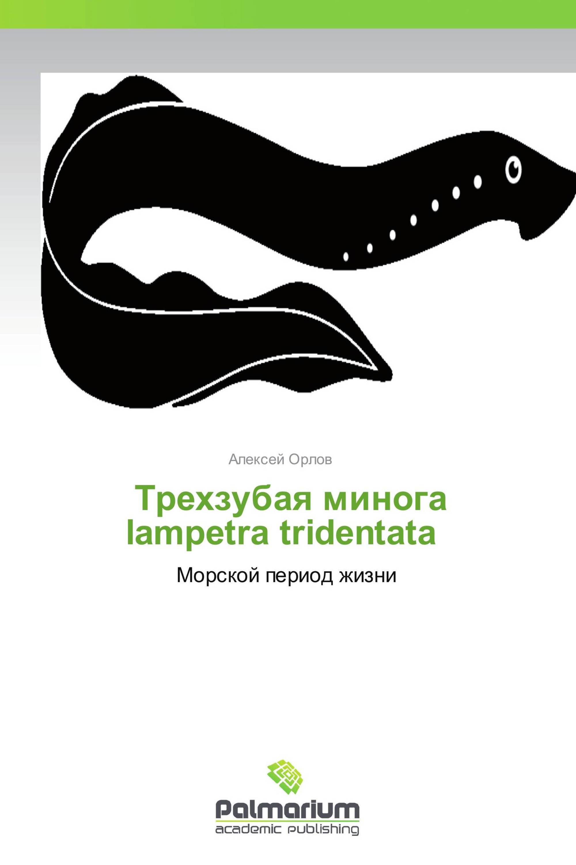            Трехзубая минога lampetra tridentata