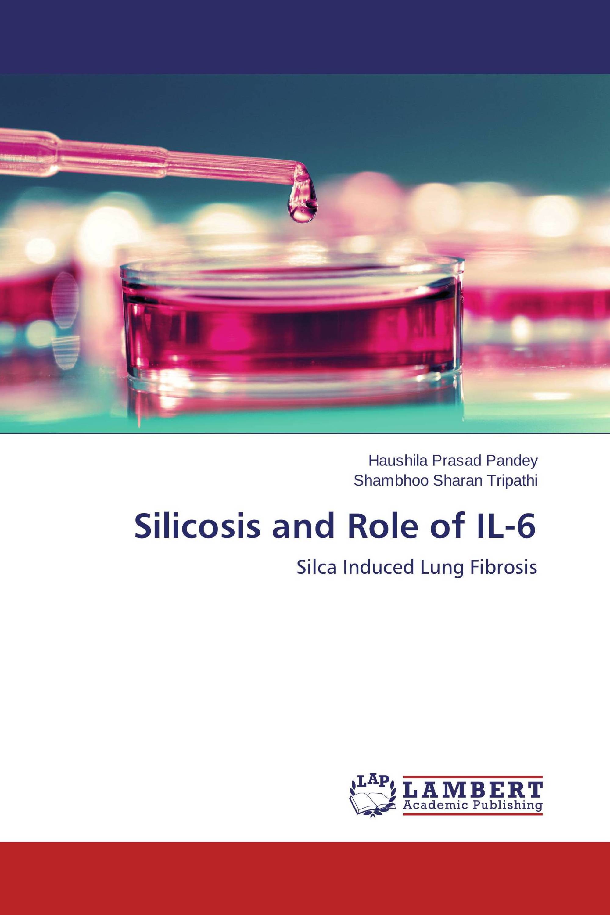 Silicosis and Role of IL-6