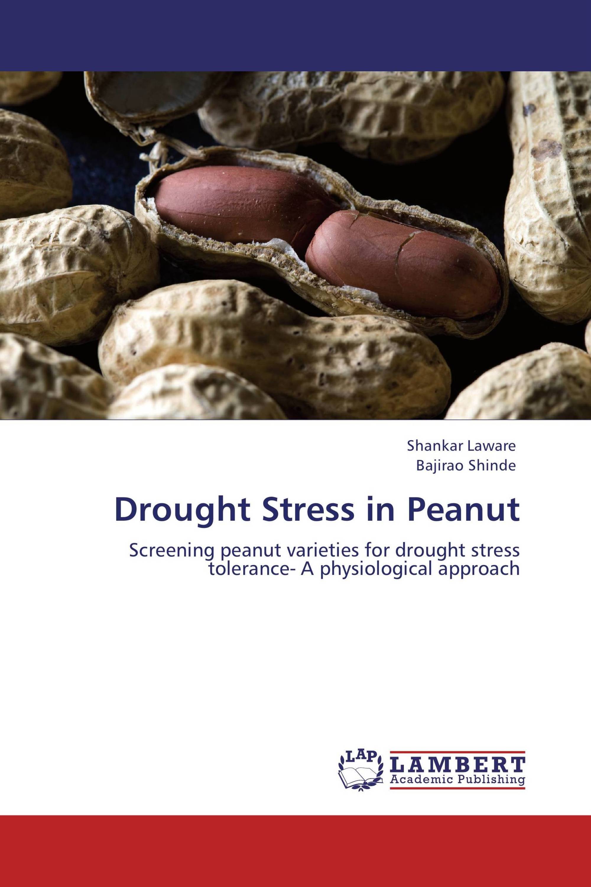 Drought stress plant physiology image