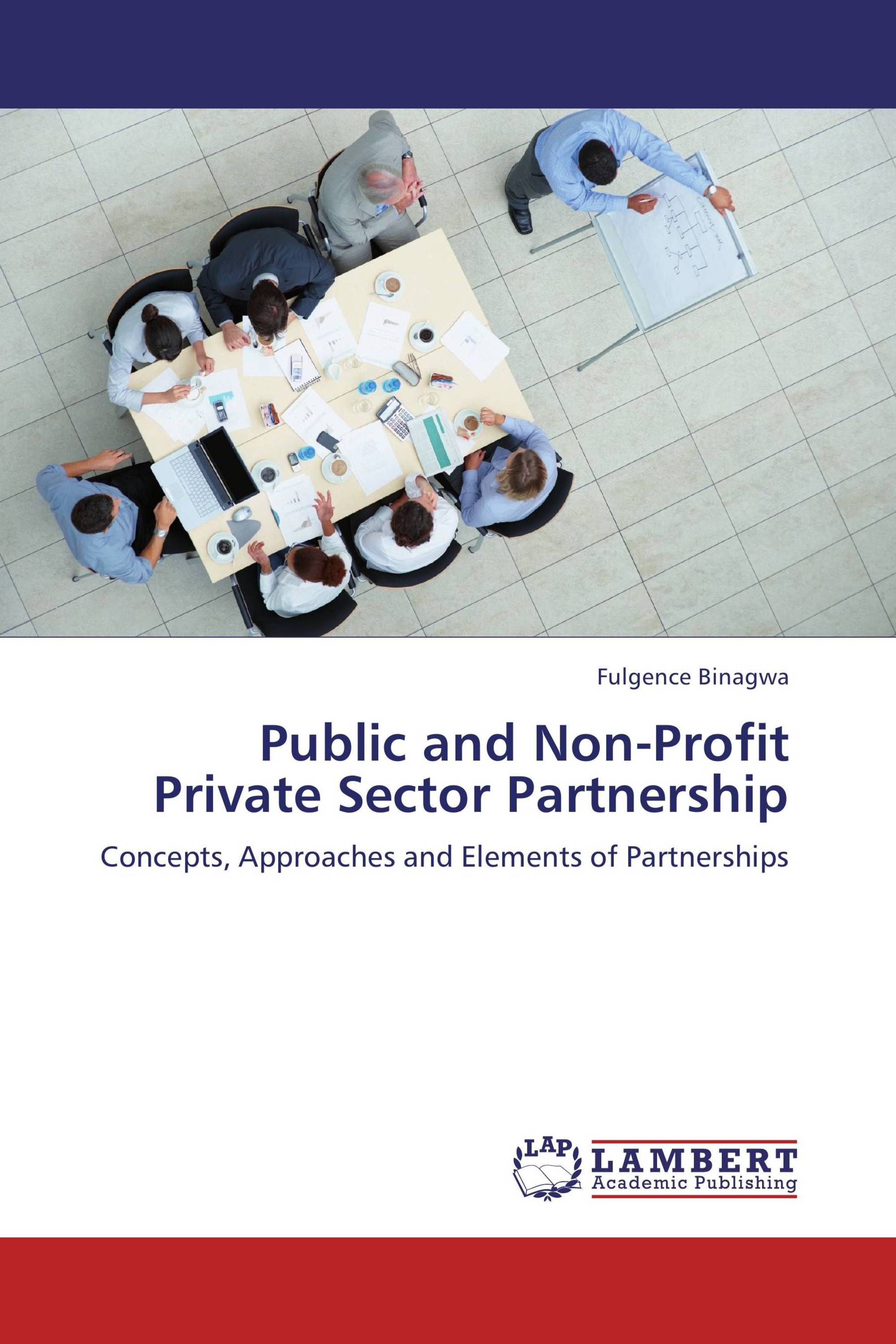 Public and NonProfit Private Sector Partnership / 9783848411757