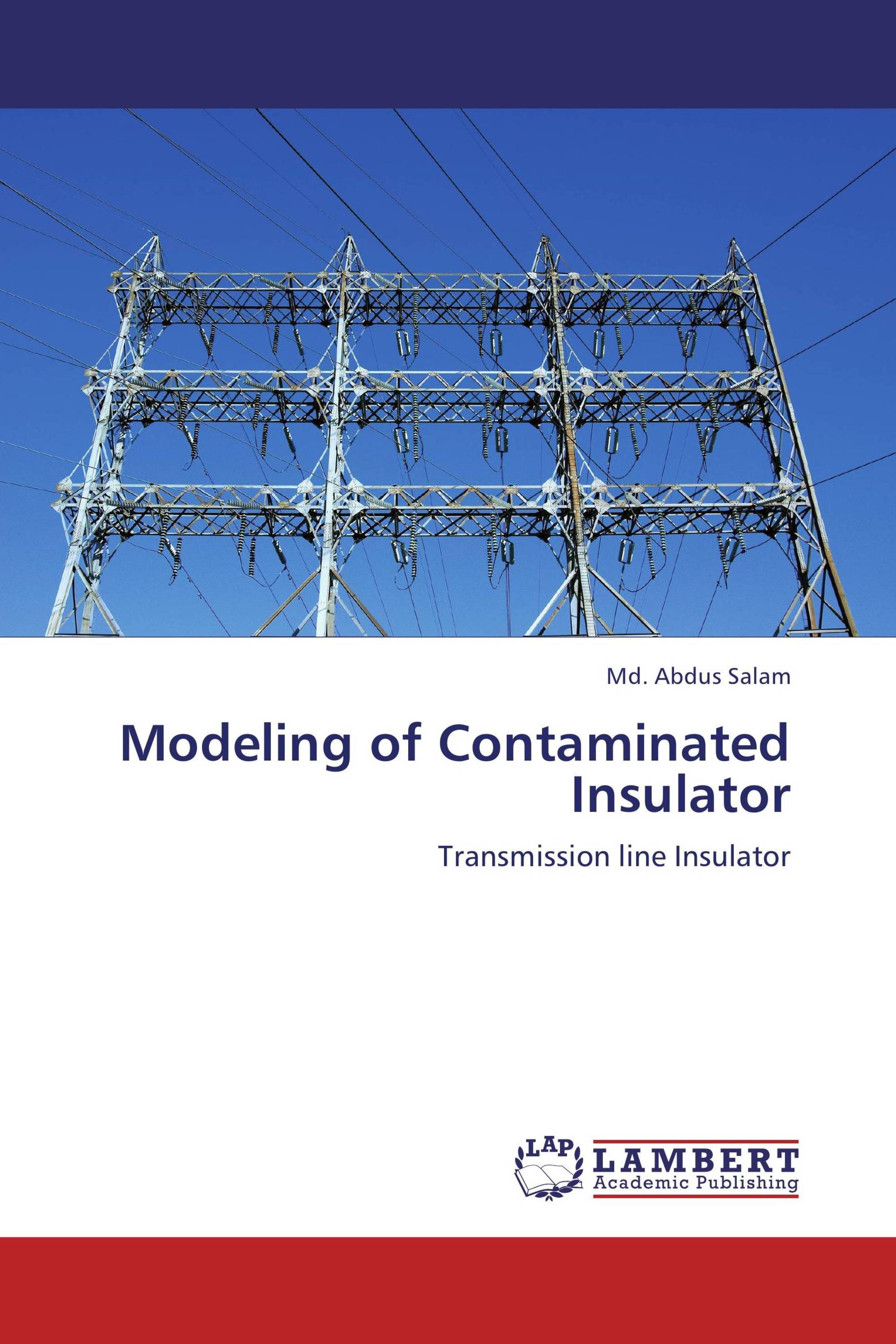 Modeling of Contaminated Insulator