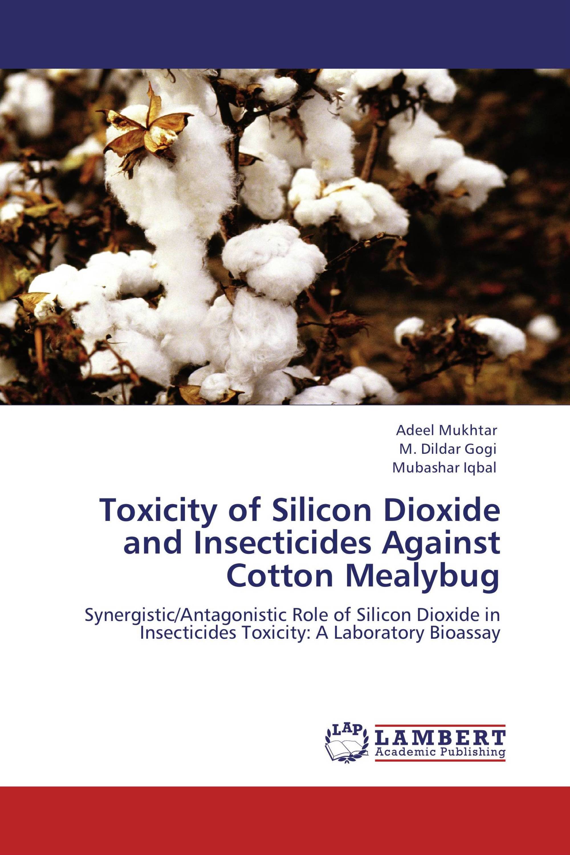 Shocking Discovery: Silicon Dioxide And Gluten'S Secret Link? - 855qwc4