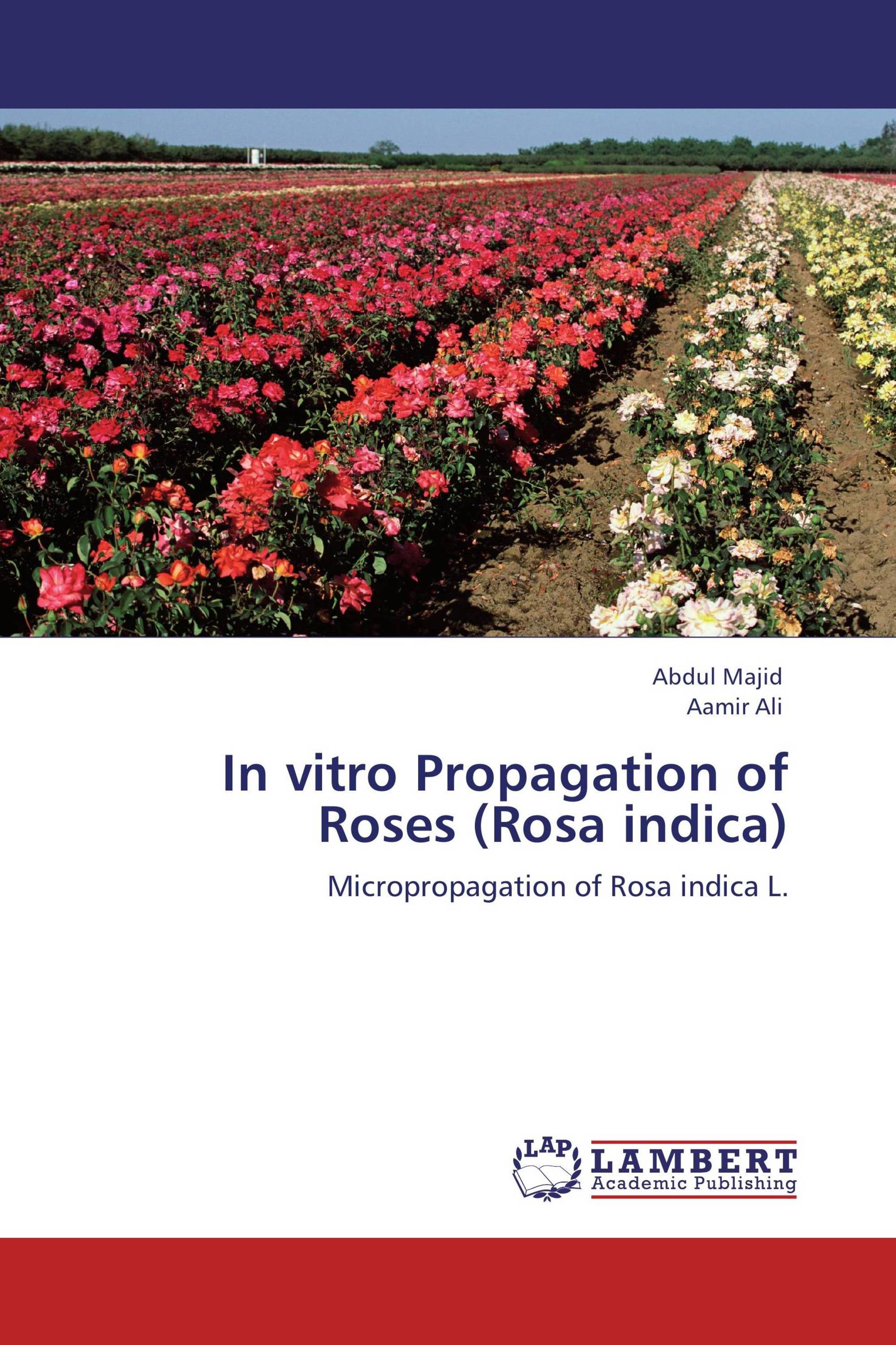 In Vitro Propagation Of Roses Rosa Indica 978 3 8484