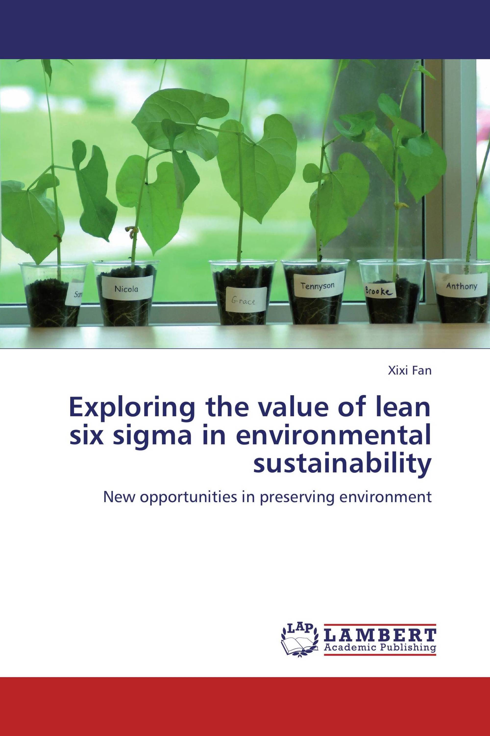 Exploring the value of lean six sigma in environmental sustainability