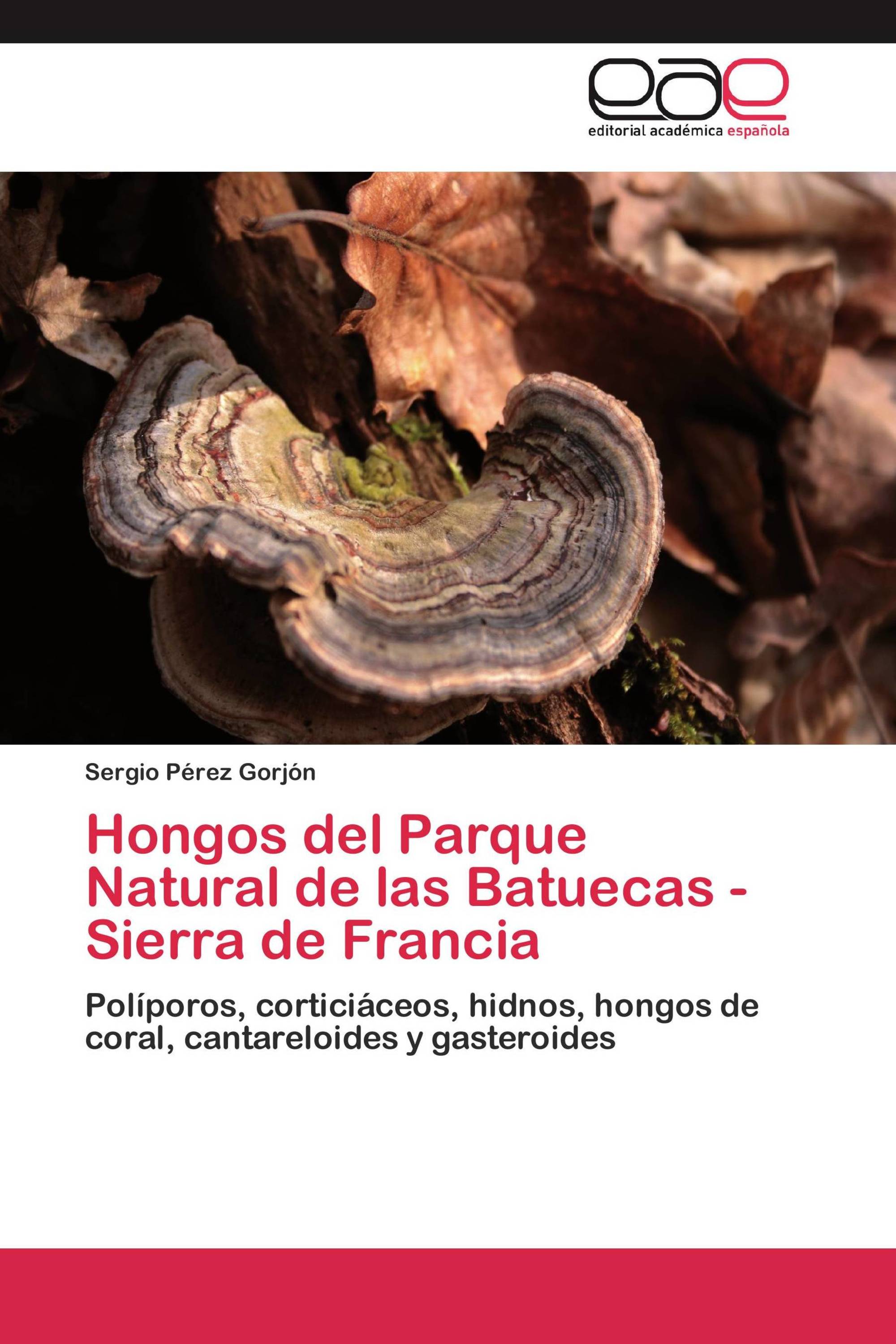 Hongos del Parque Natural de las Batuecas - Sierra de Francia