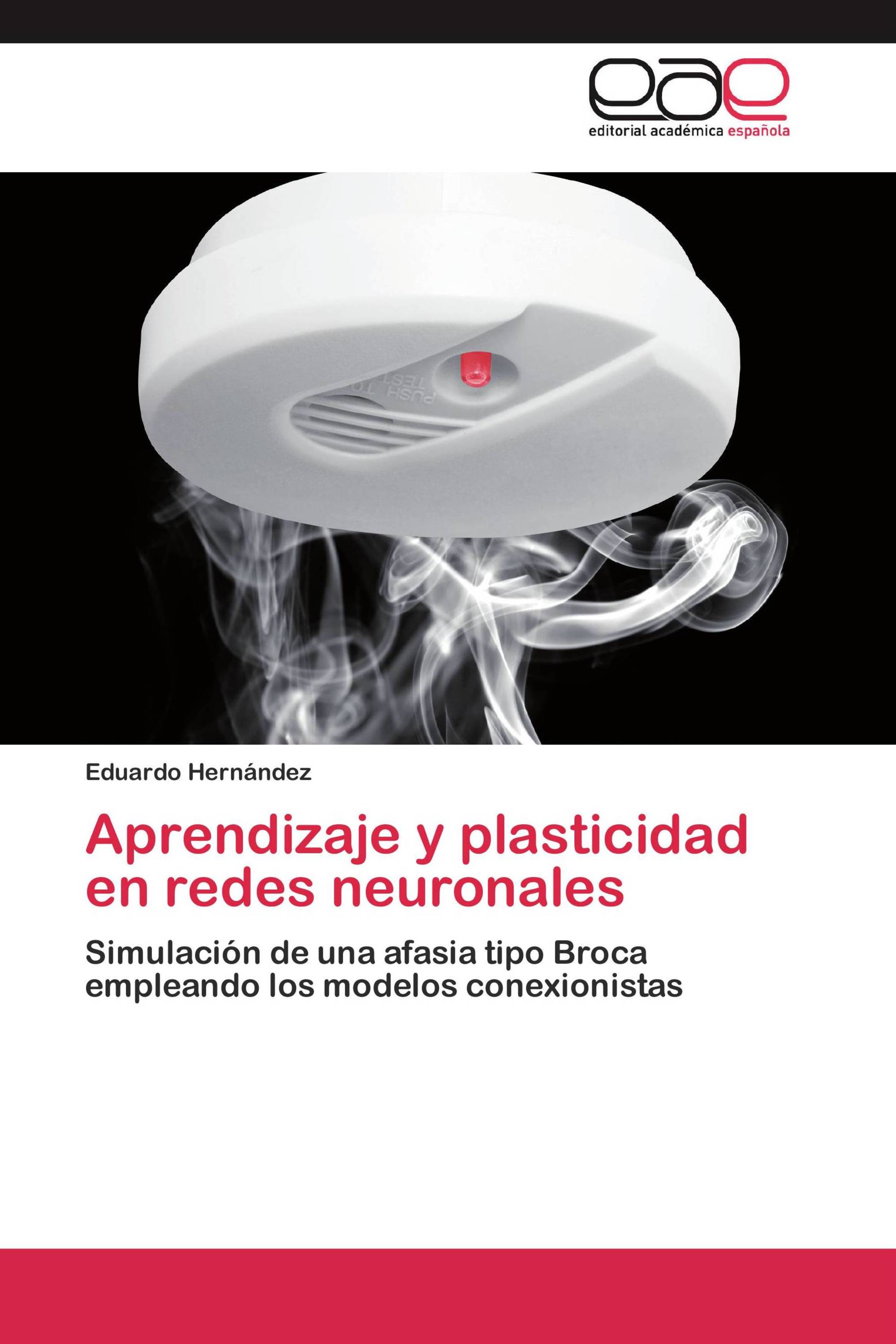 Aprendizaje y plasticidad en redes neuronales