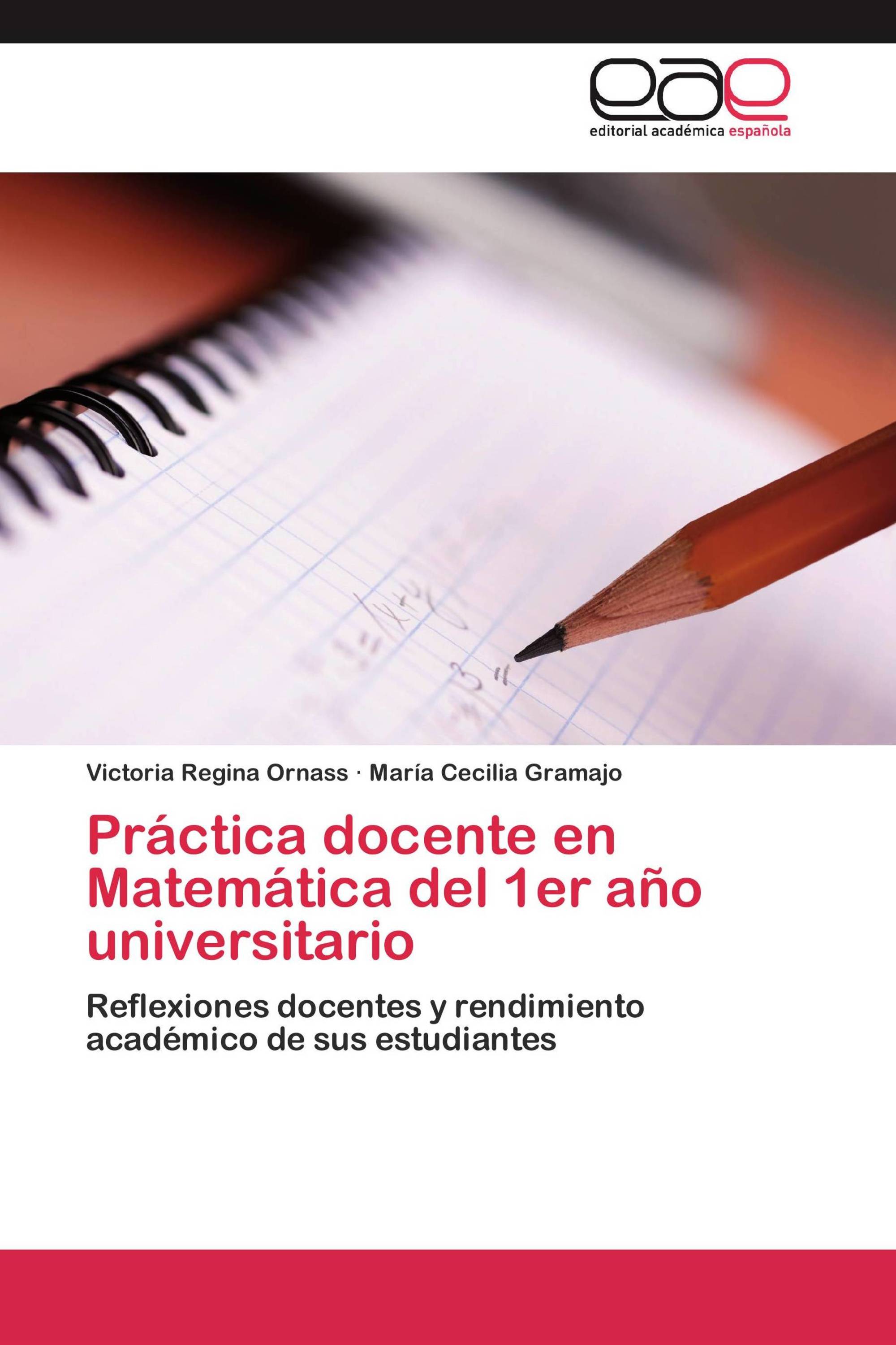 Práctica docente en Matemática del 1er año universitario