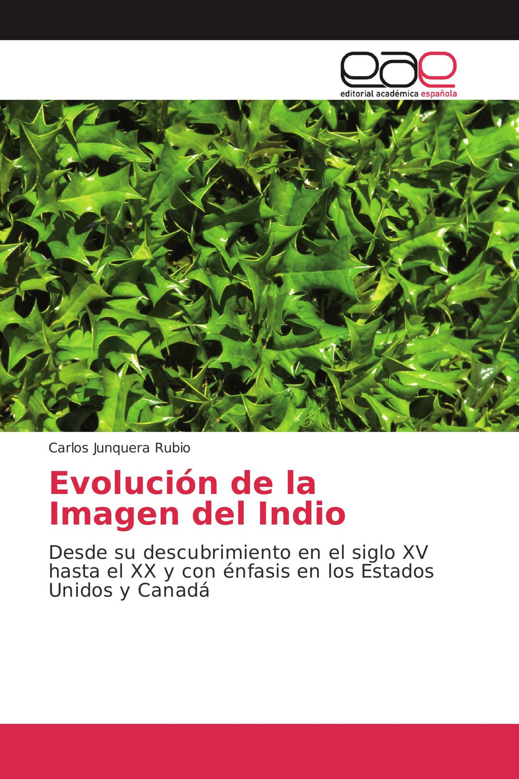 Evolución de la Imagen del Indio