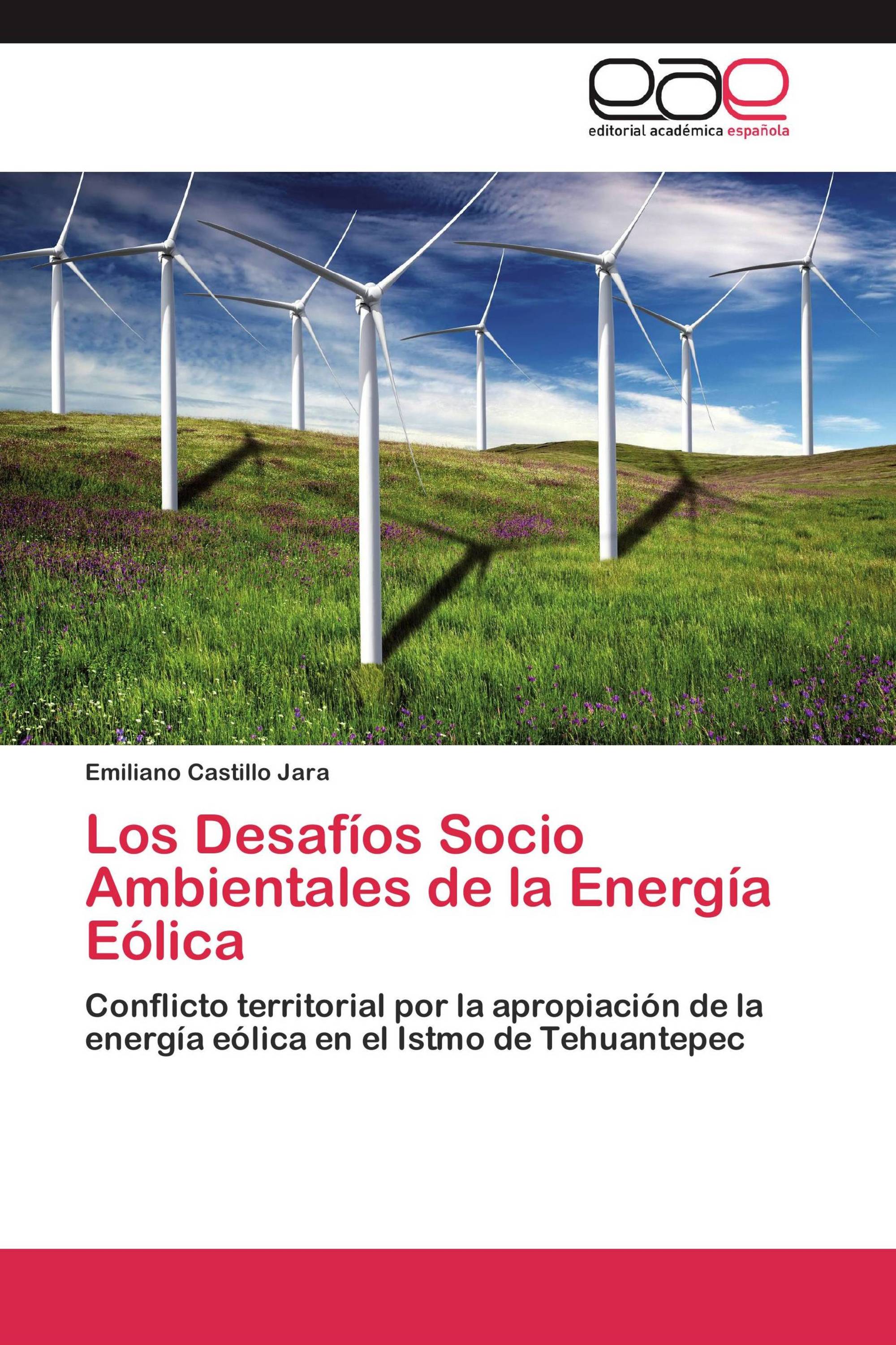 Los Desafíos Socio Ambientales de la Energía Eólica