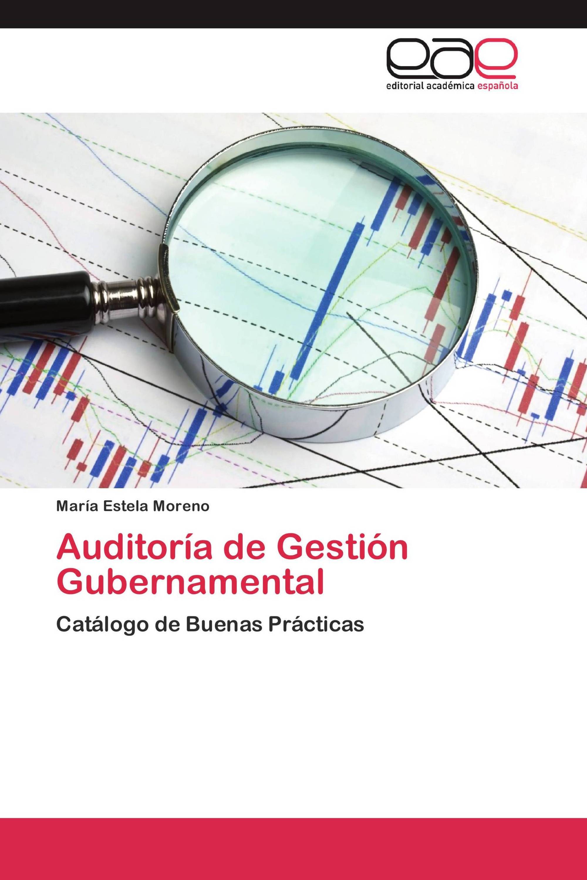 Auditoría de Gestión Gubernamental