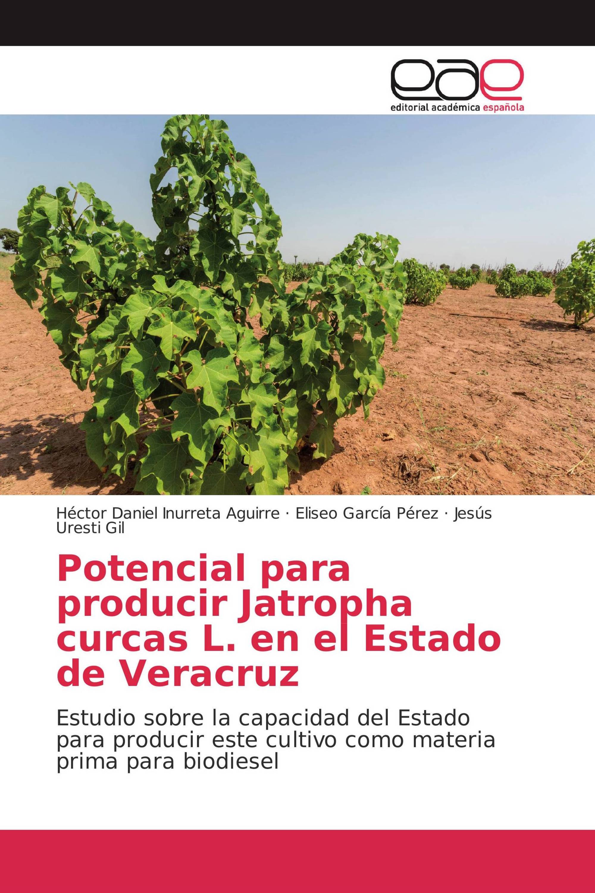 Potencial para producir Jatropha curcas L. en el Estado de Veracruz