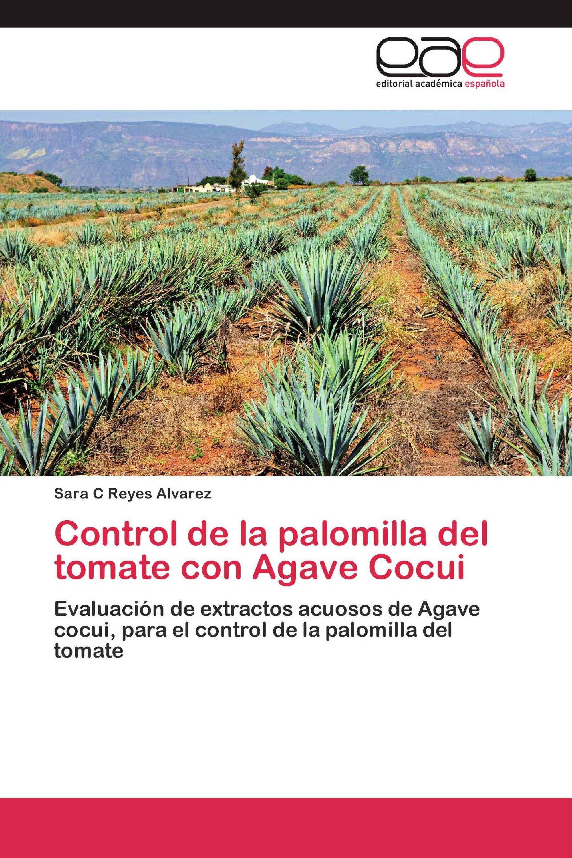 Control de la palomilla del tomate con Agave Cocui