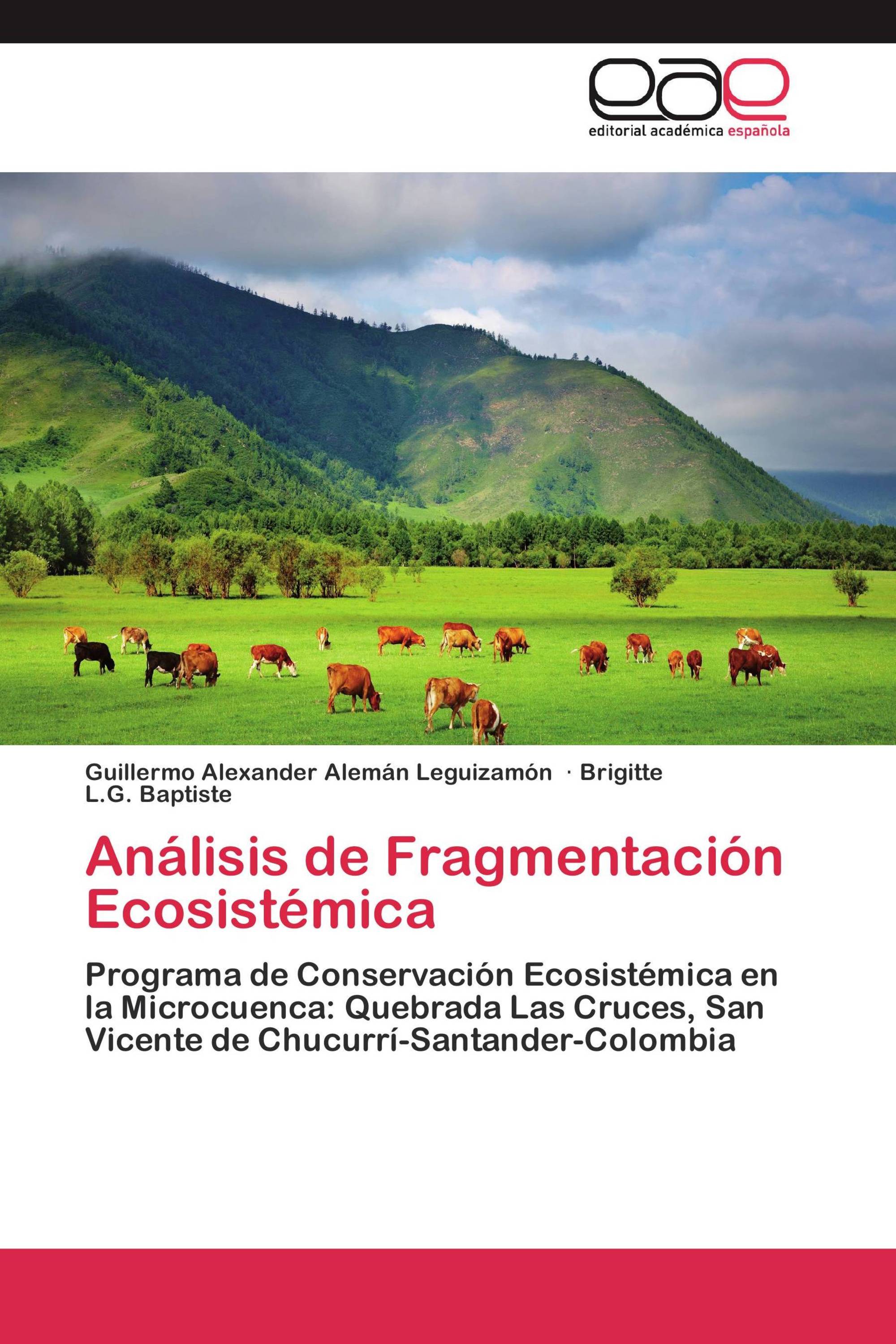 Análisis de Fragmentación Ecosistémica