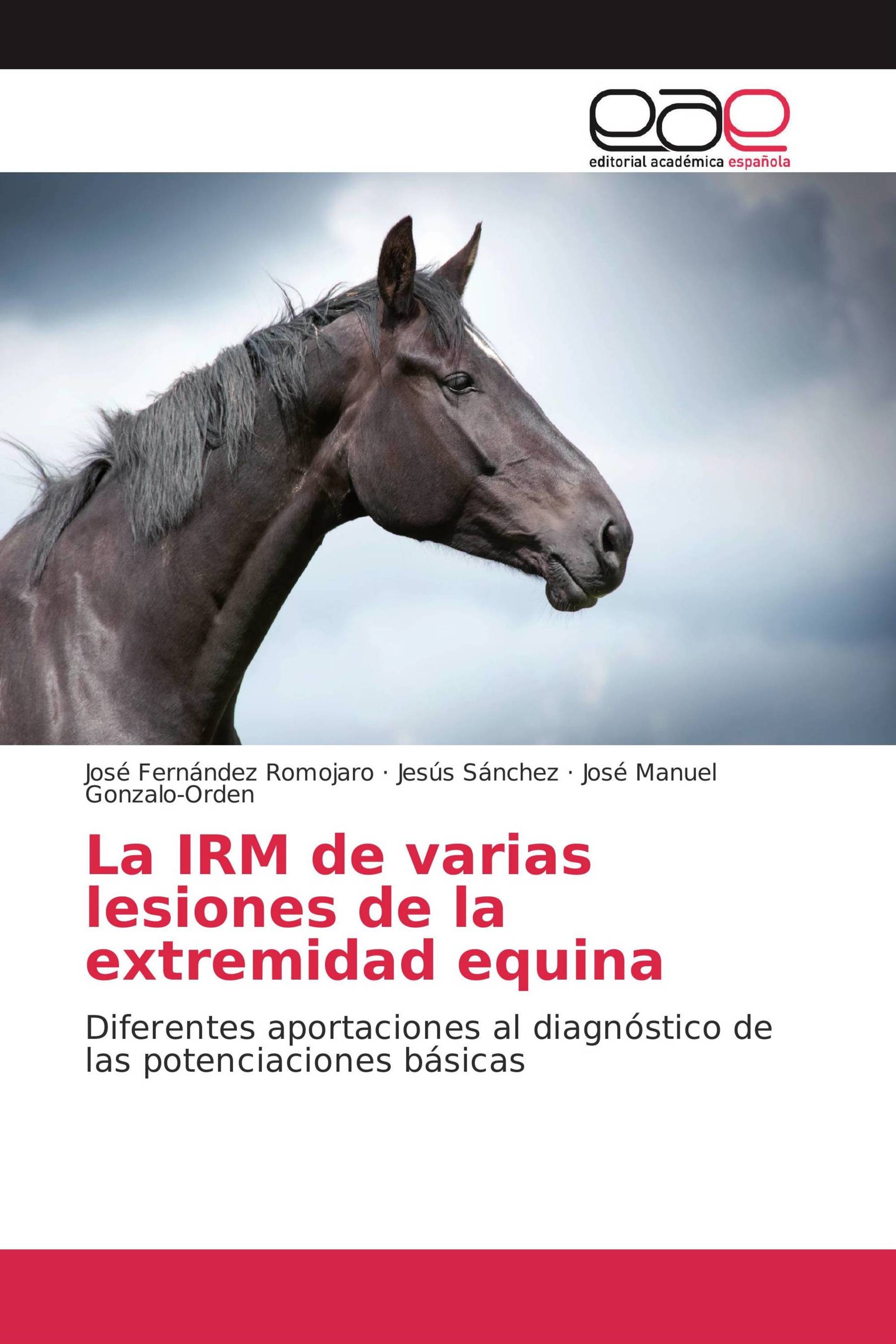 La IRM de varias lesiones de la extremidad equina