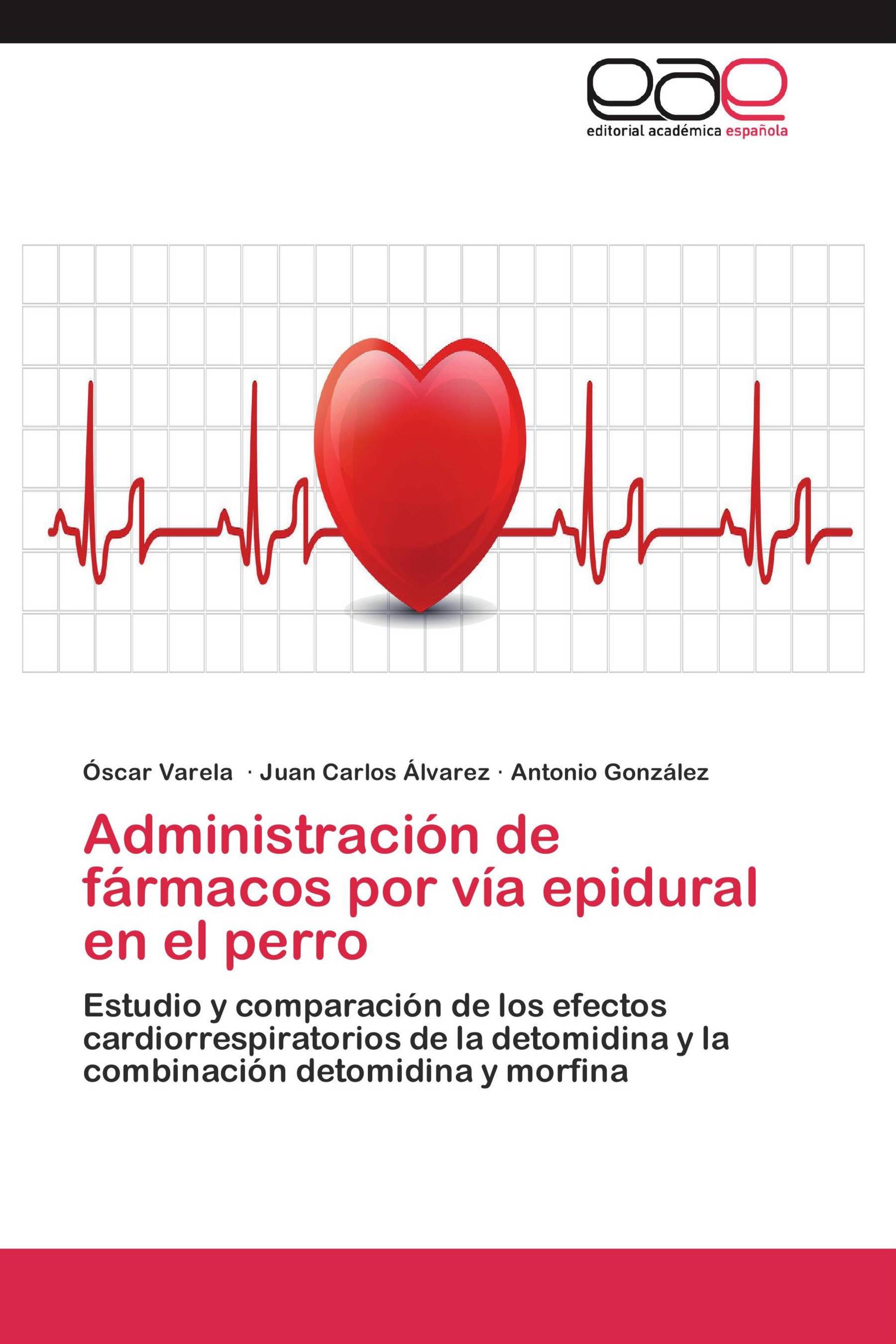 Administración de fármacos por vía epidural en el perro