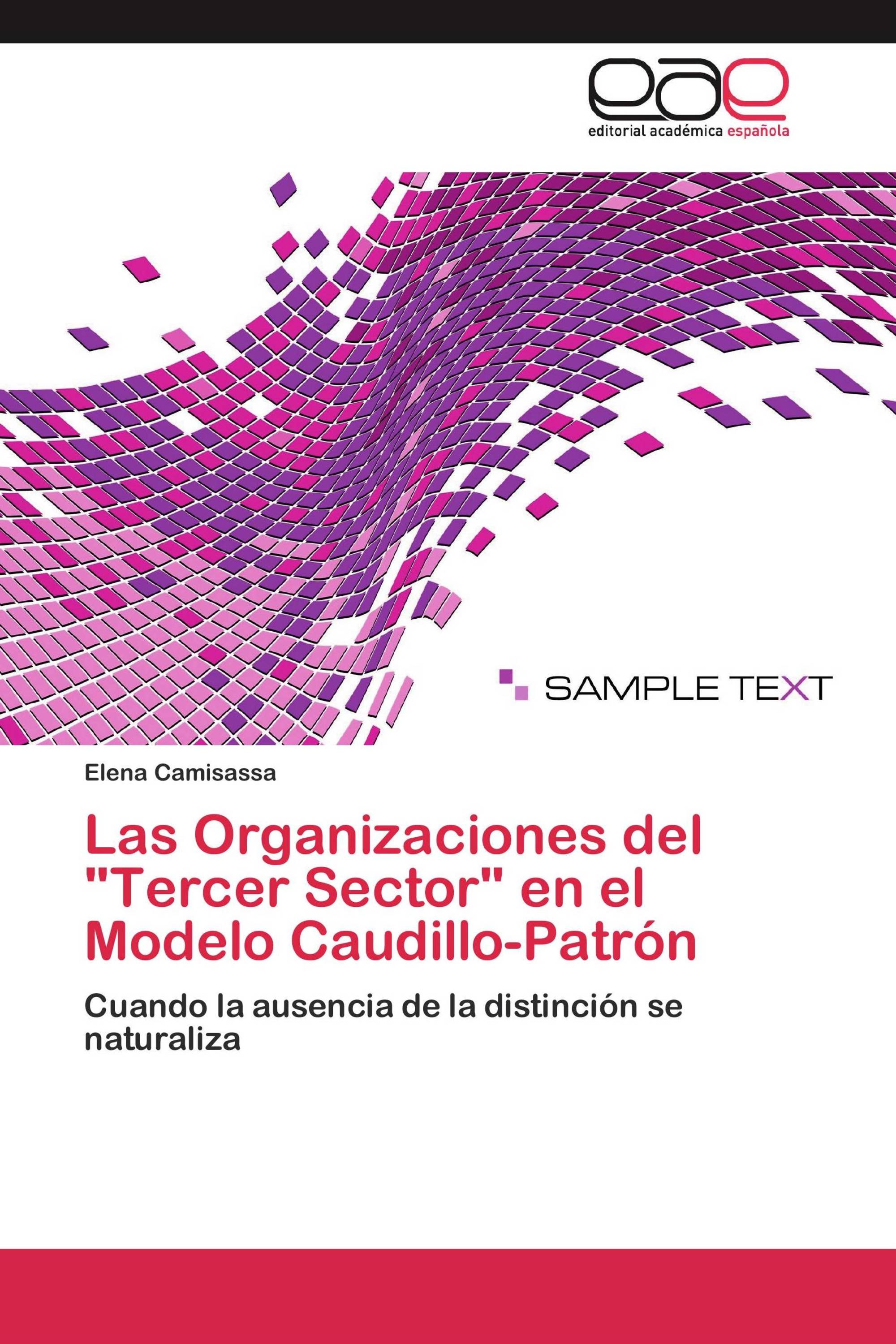 Las Organizaciones del "Tercer Sector" en el Modelo Caudillo-Patrón