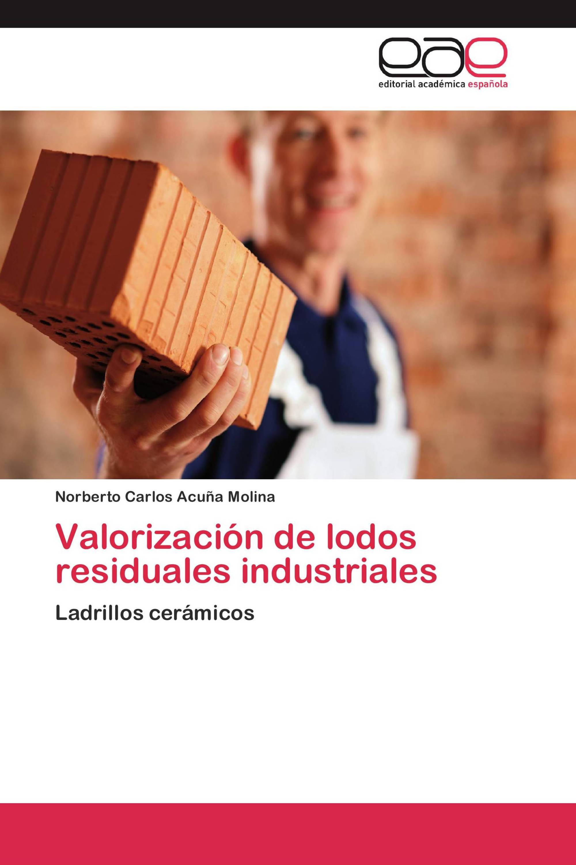 Valorización de lodos residuales industriales