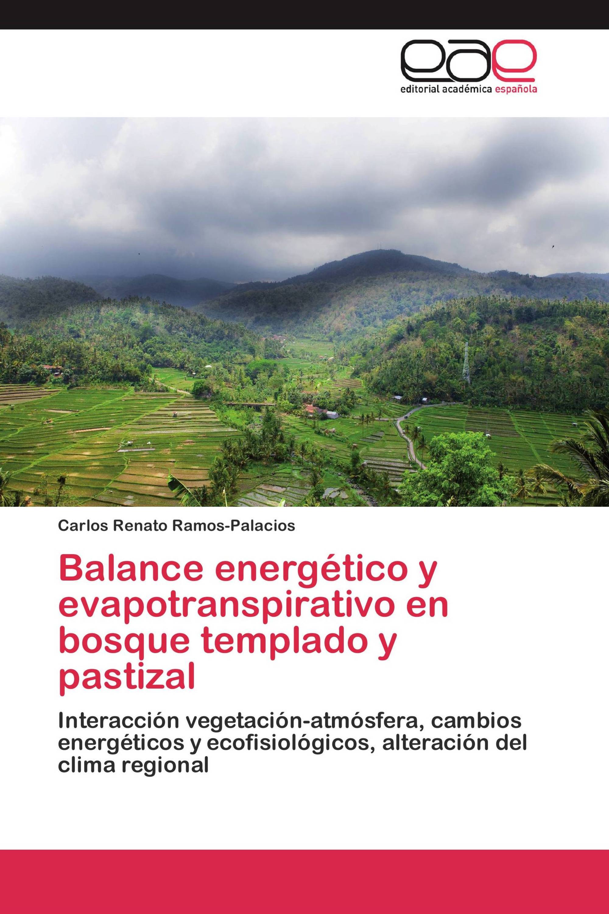 Balance energético y evapotranspirativo en bosque templado y pastizal