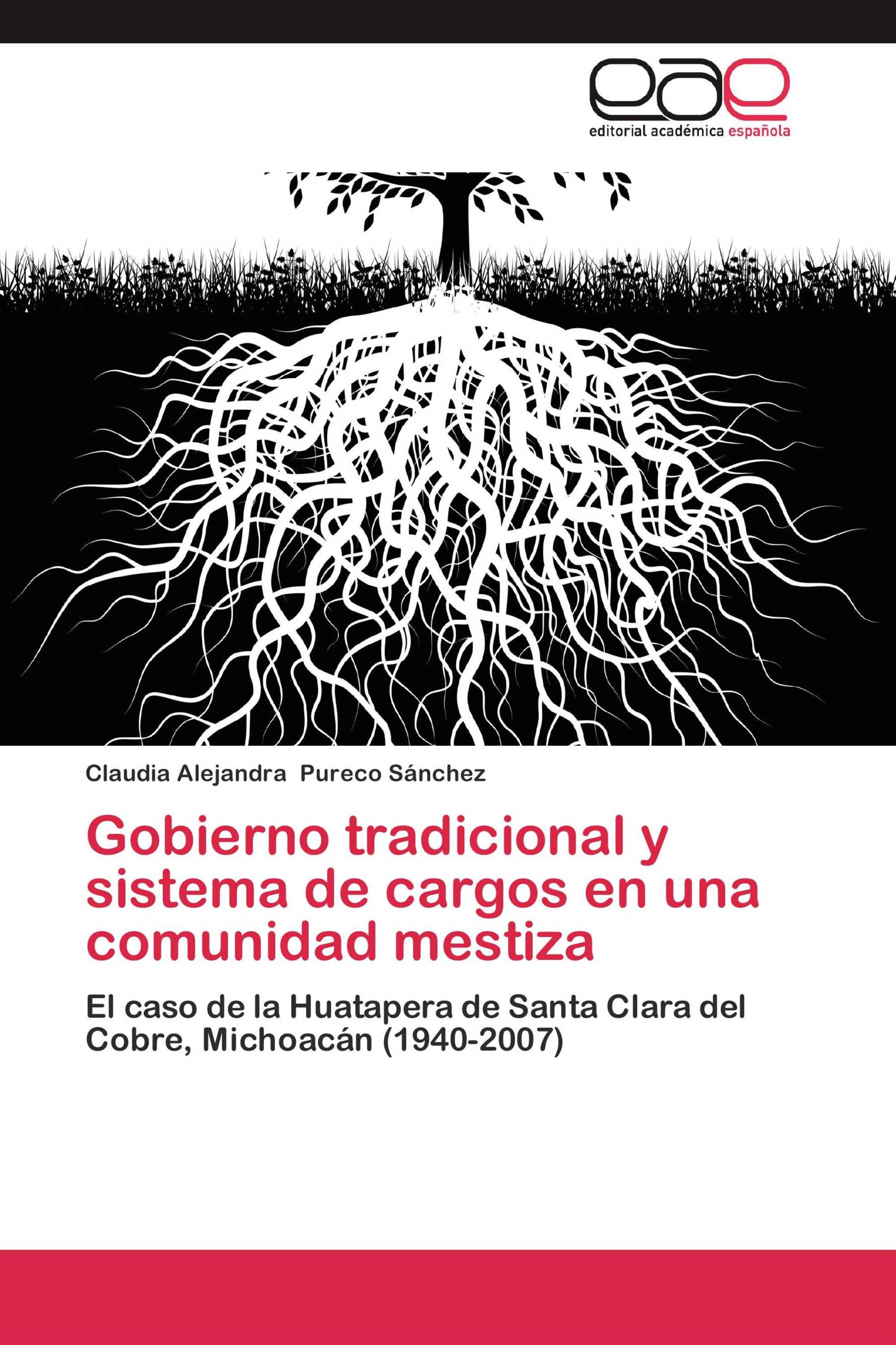 Gobierno tradicional y sistema de cargos en una comunidad mestiza