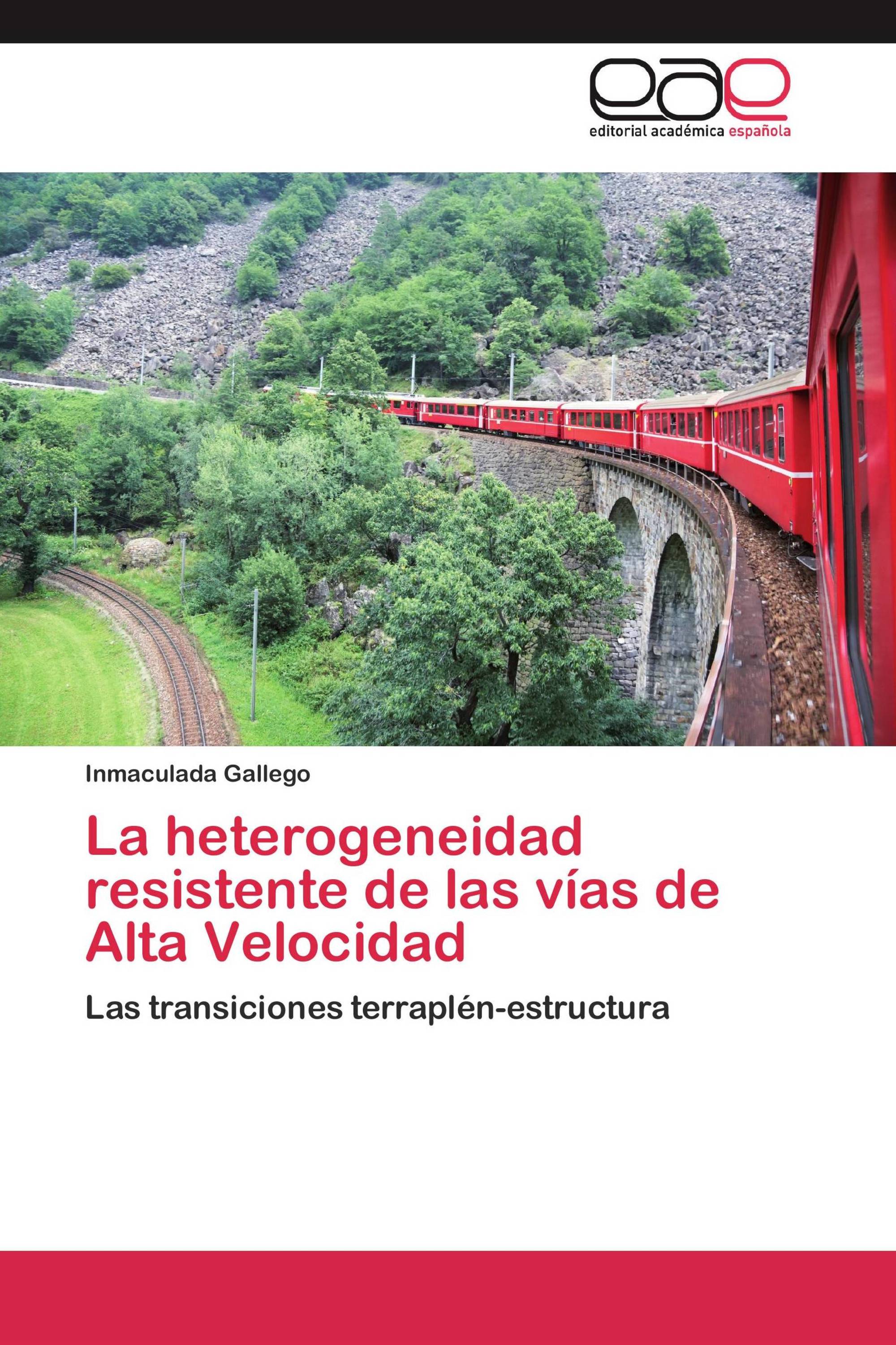 La heterogeneidad resistente de las vías de Alta Velocidad