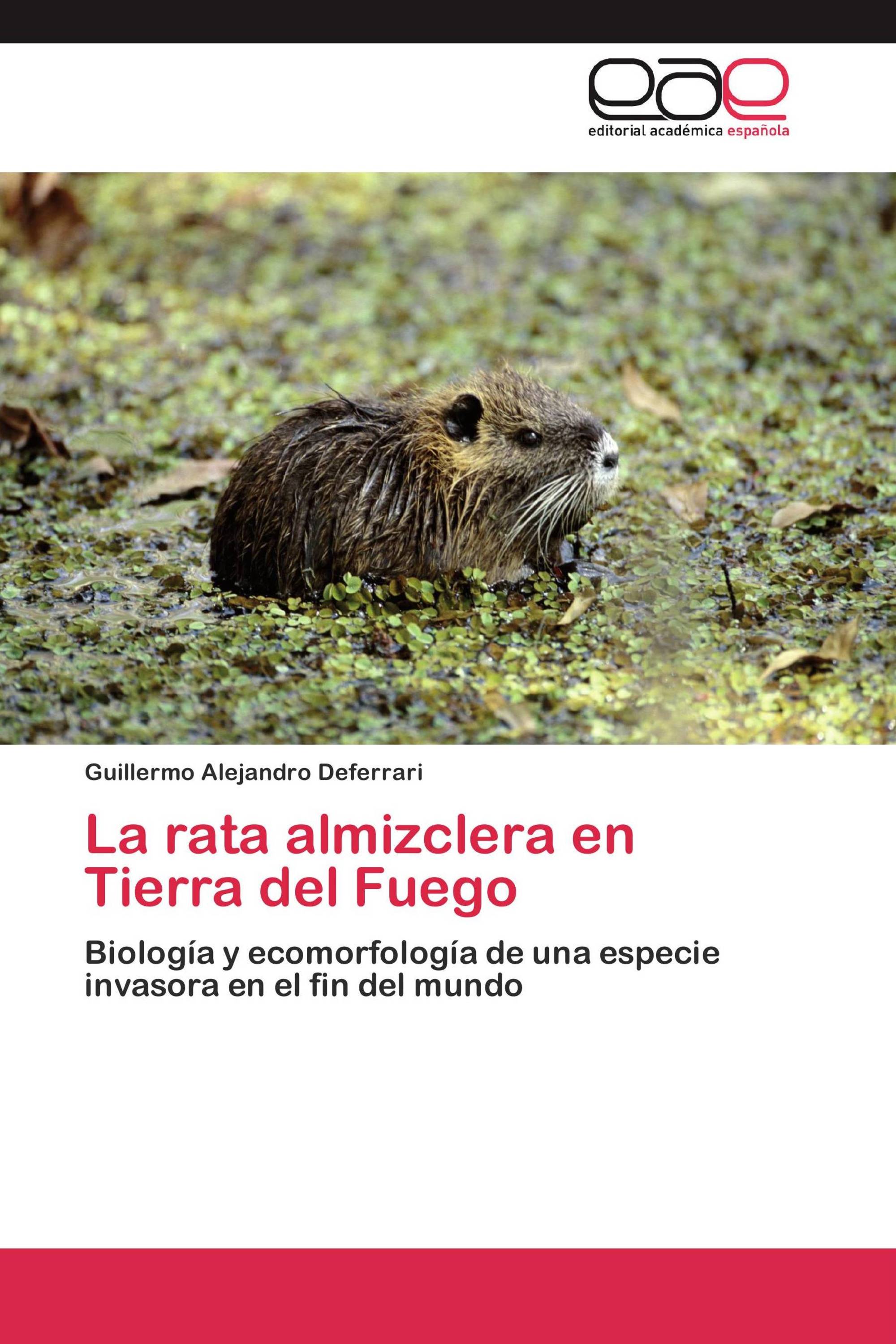 La rata almizclera en Tierra del Fuego