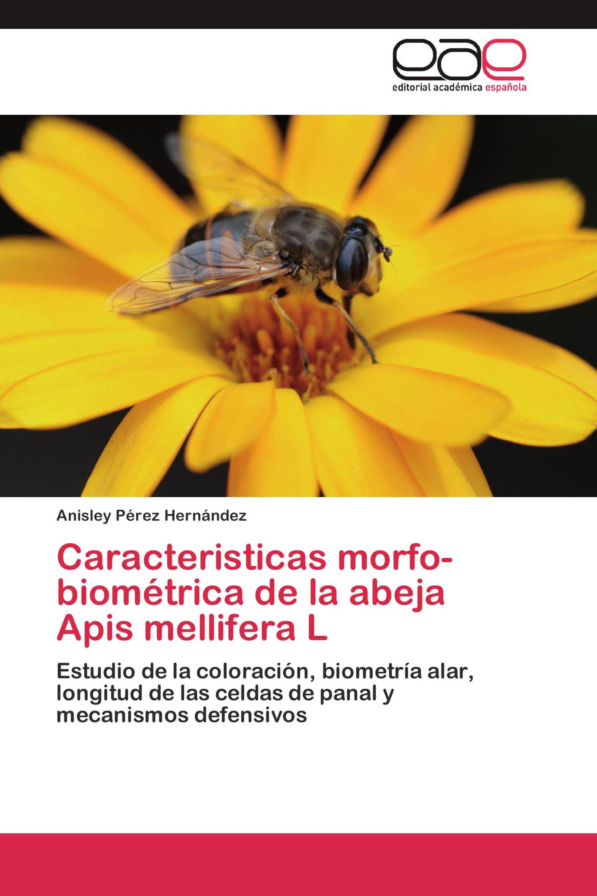 Caracteristicas morfo-biométrica de la abeja Apis mellifera L