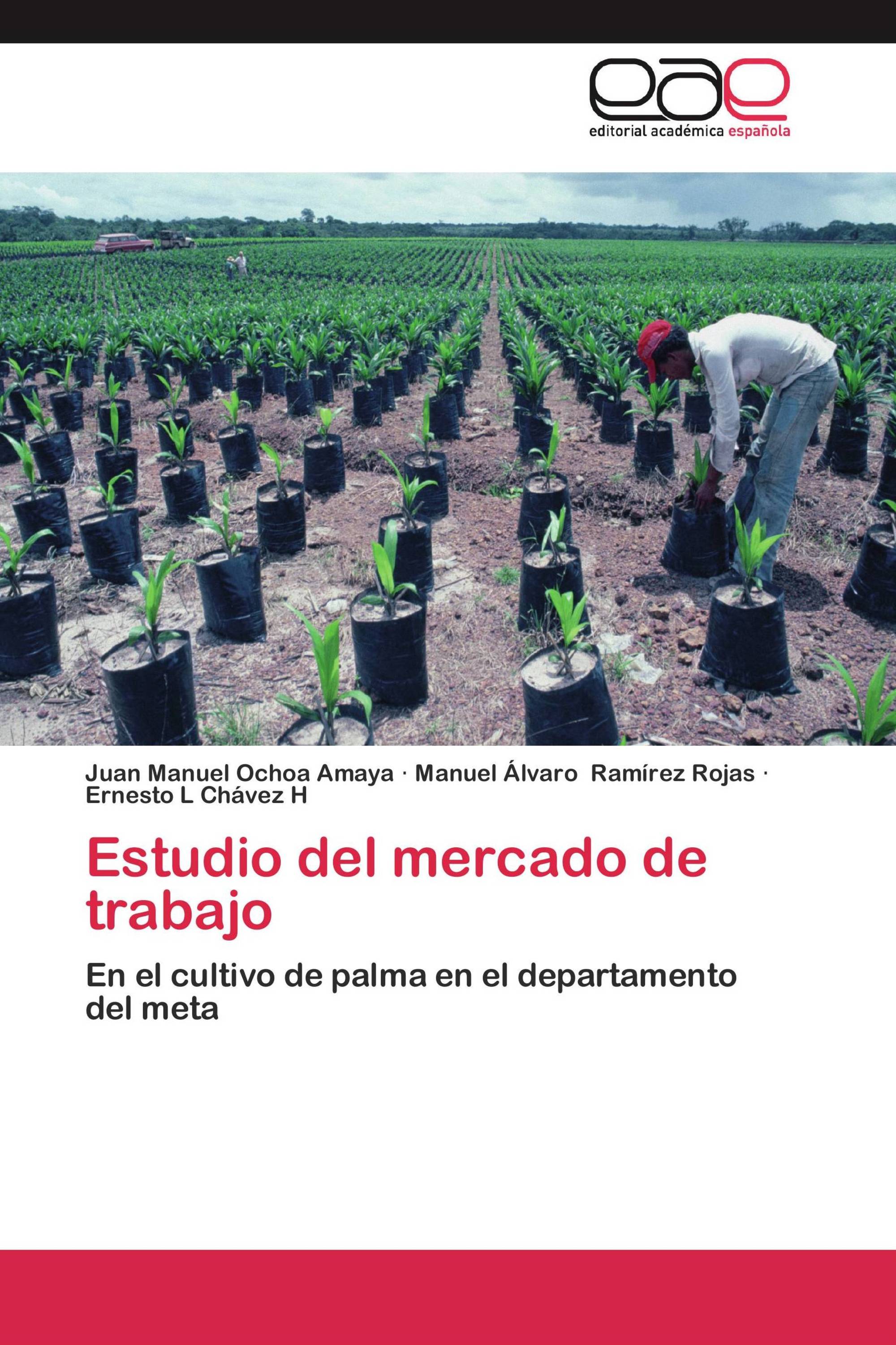 Estudio del mercado de trabajo