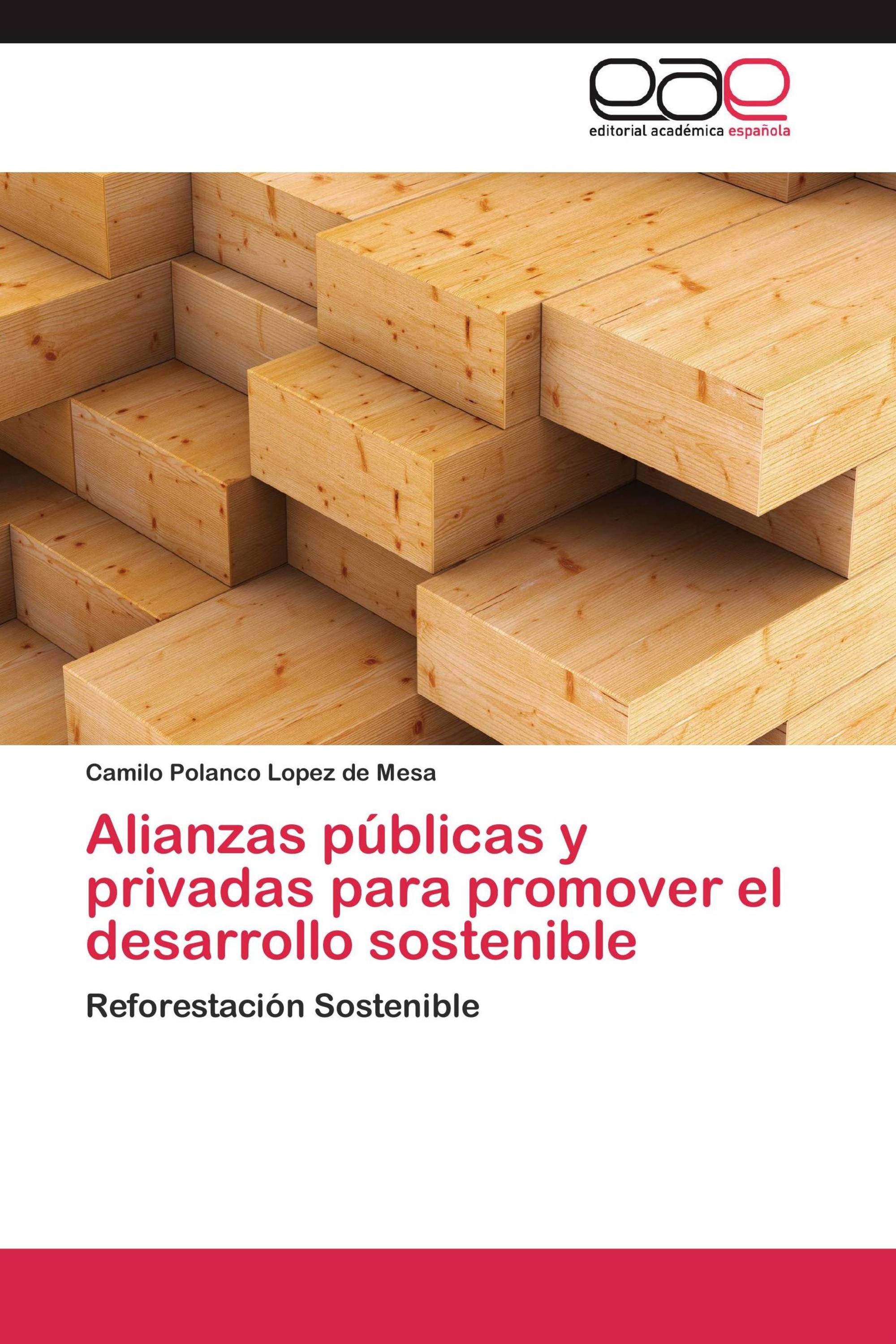 Alianzas públicas y privadas para promover el desarrollo sostenible