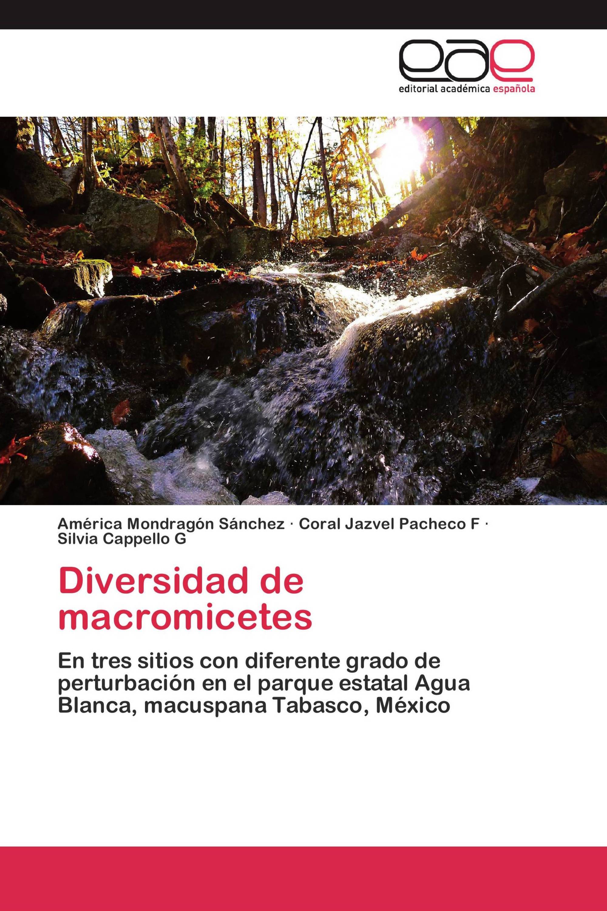 Diversidad de macromicetes