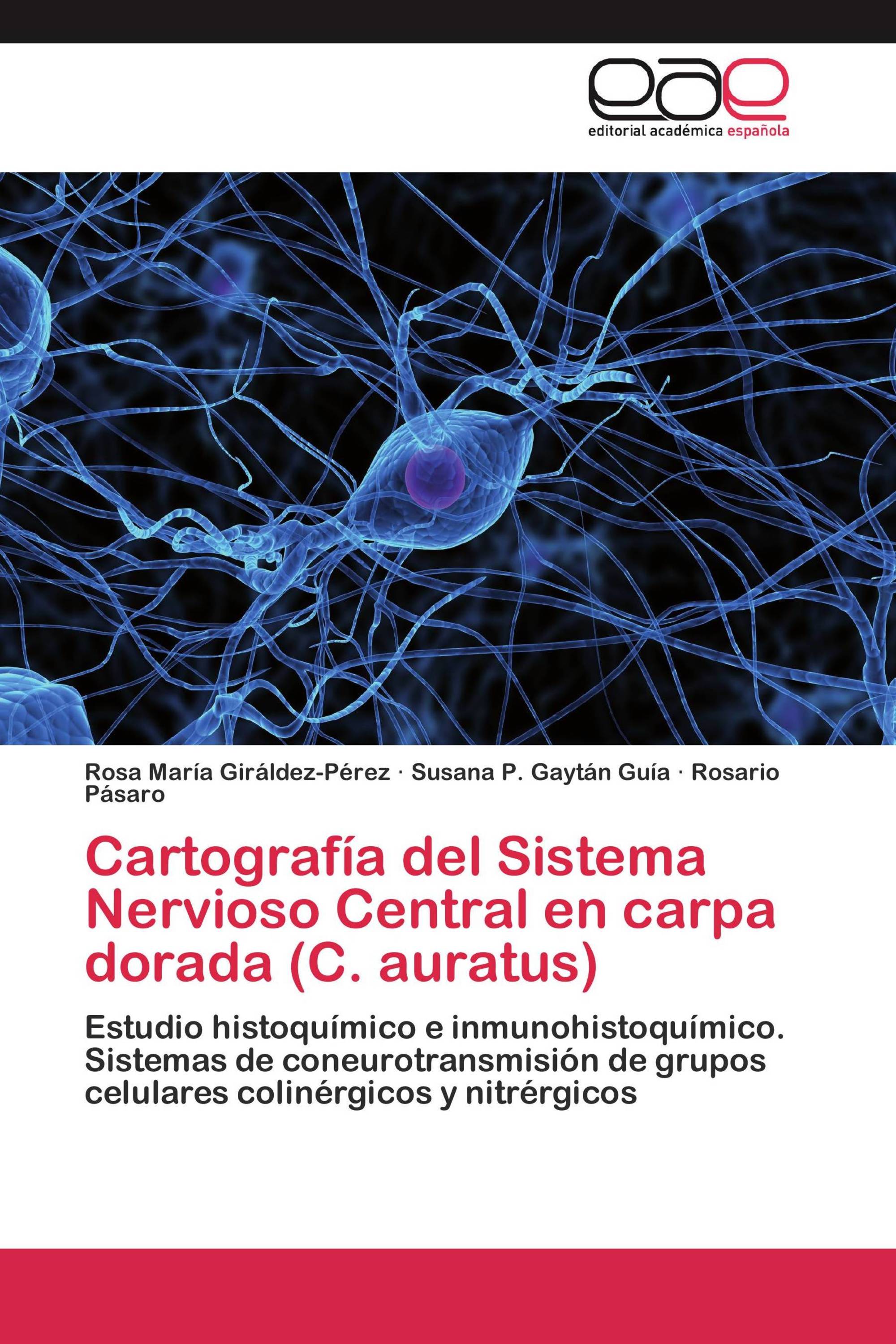 Cartografía del Sistema Nervioso Central en carpa dorada (C. auratus)