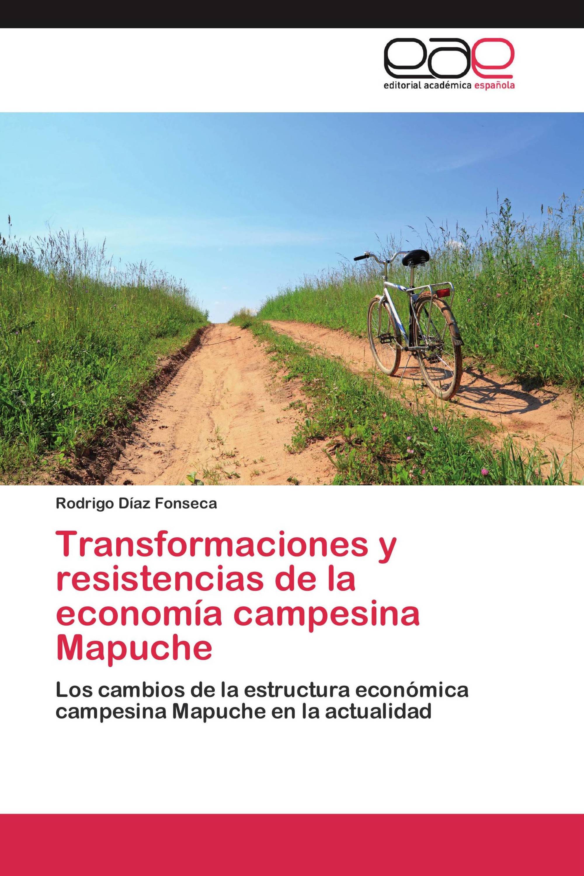 Transformaciones y resistencias de la economía campesina Mapuche