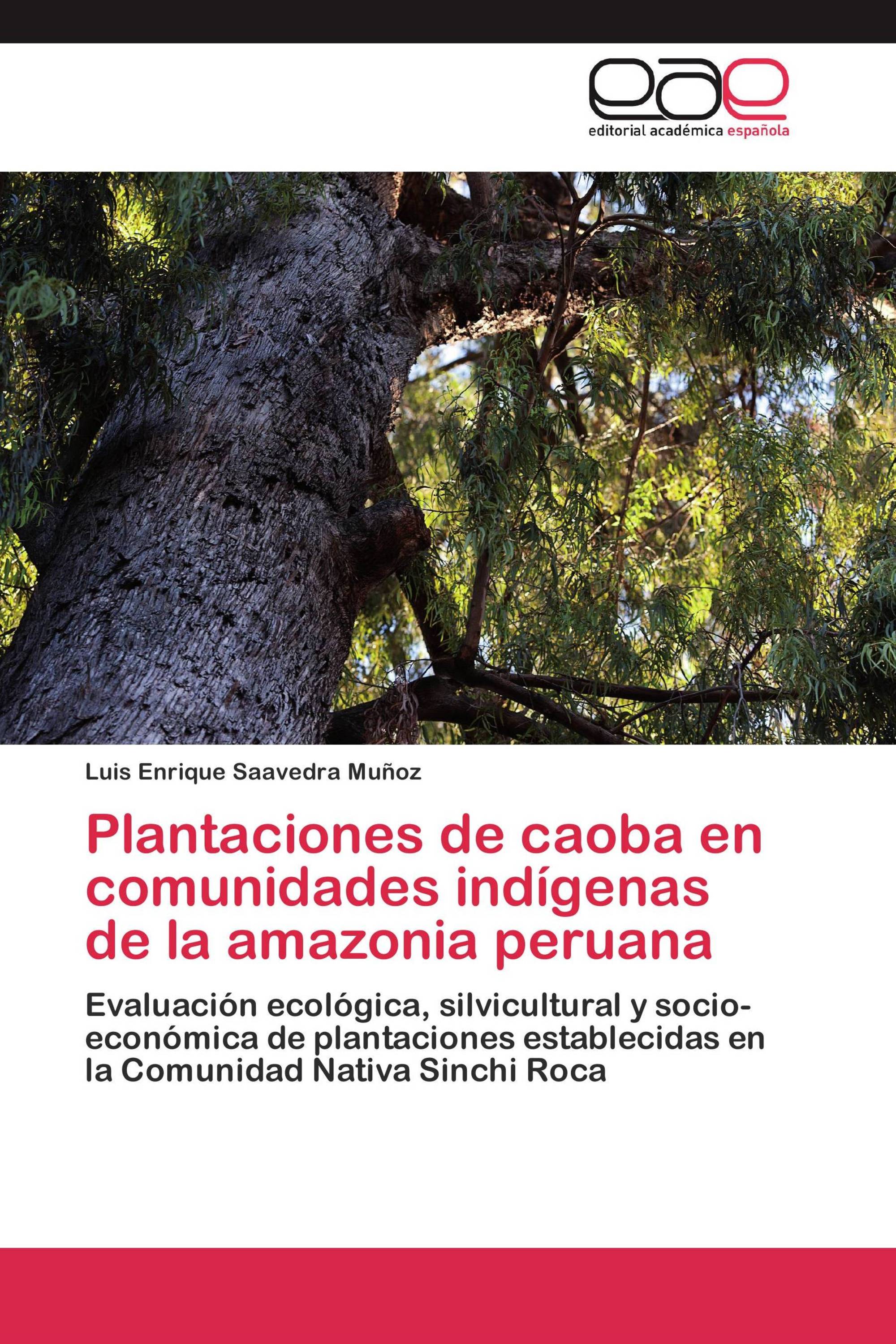 Plantaciones de caoba en comunidades indígenas de la amazonia peruana