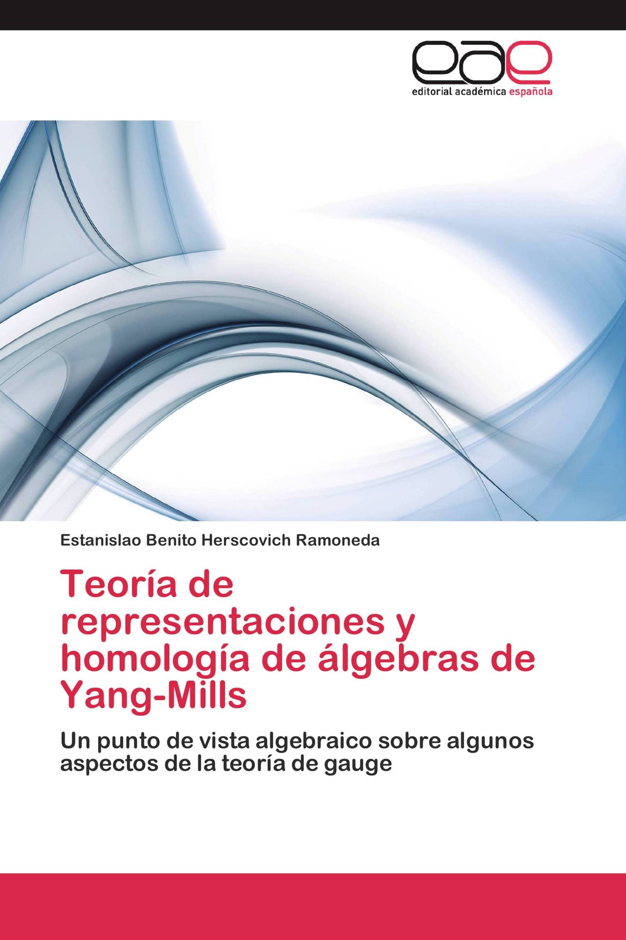 Teoría de representaciones y homología de álgebras de Yang-Mills