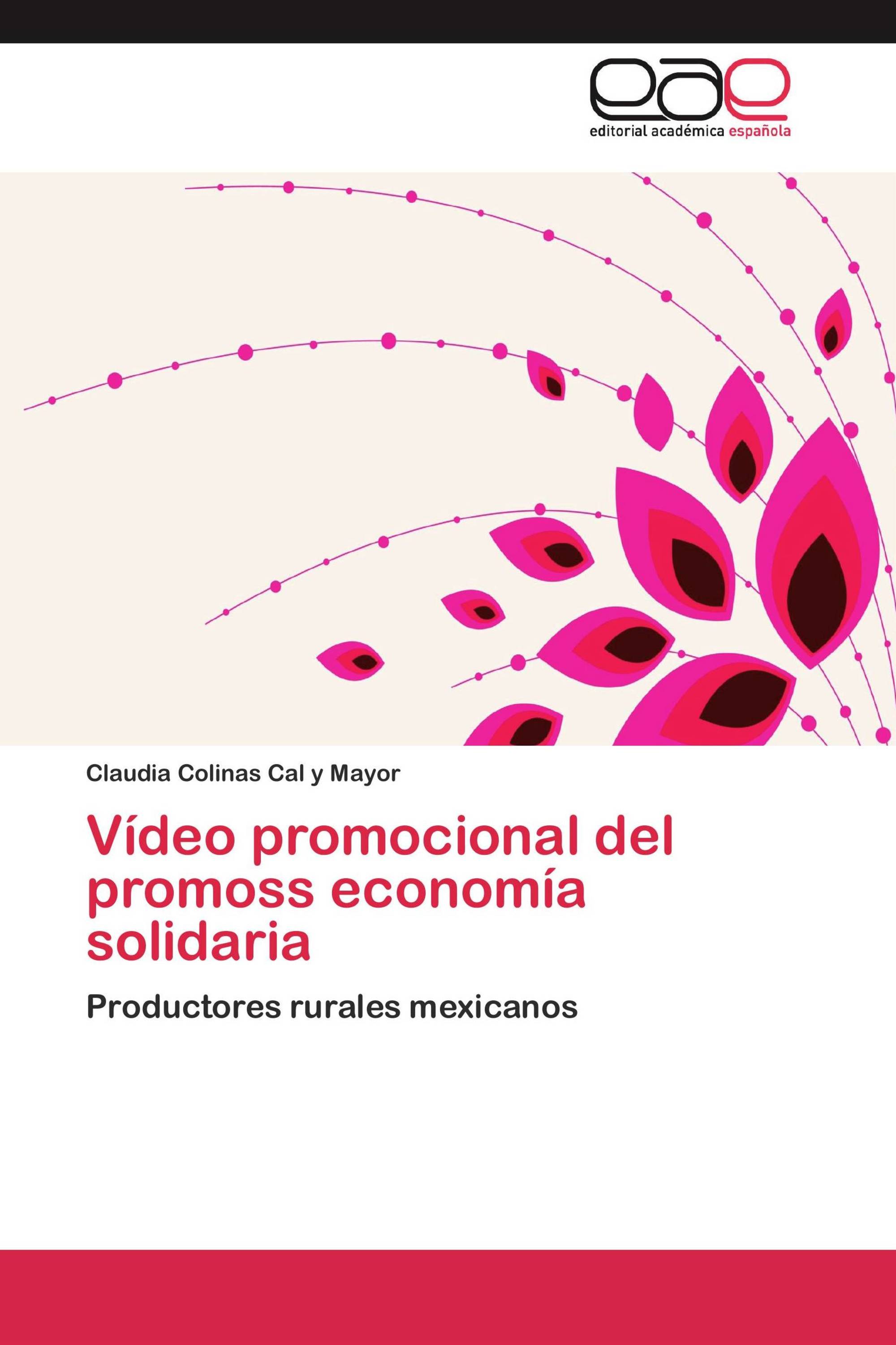 Vídeo promocional del promoss economía solidaria