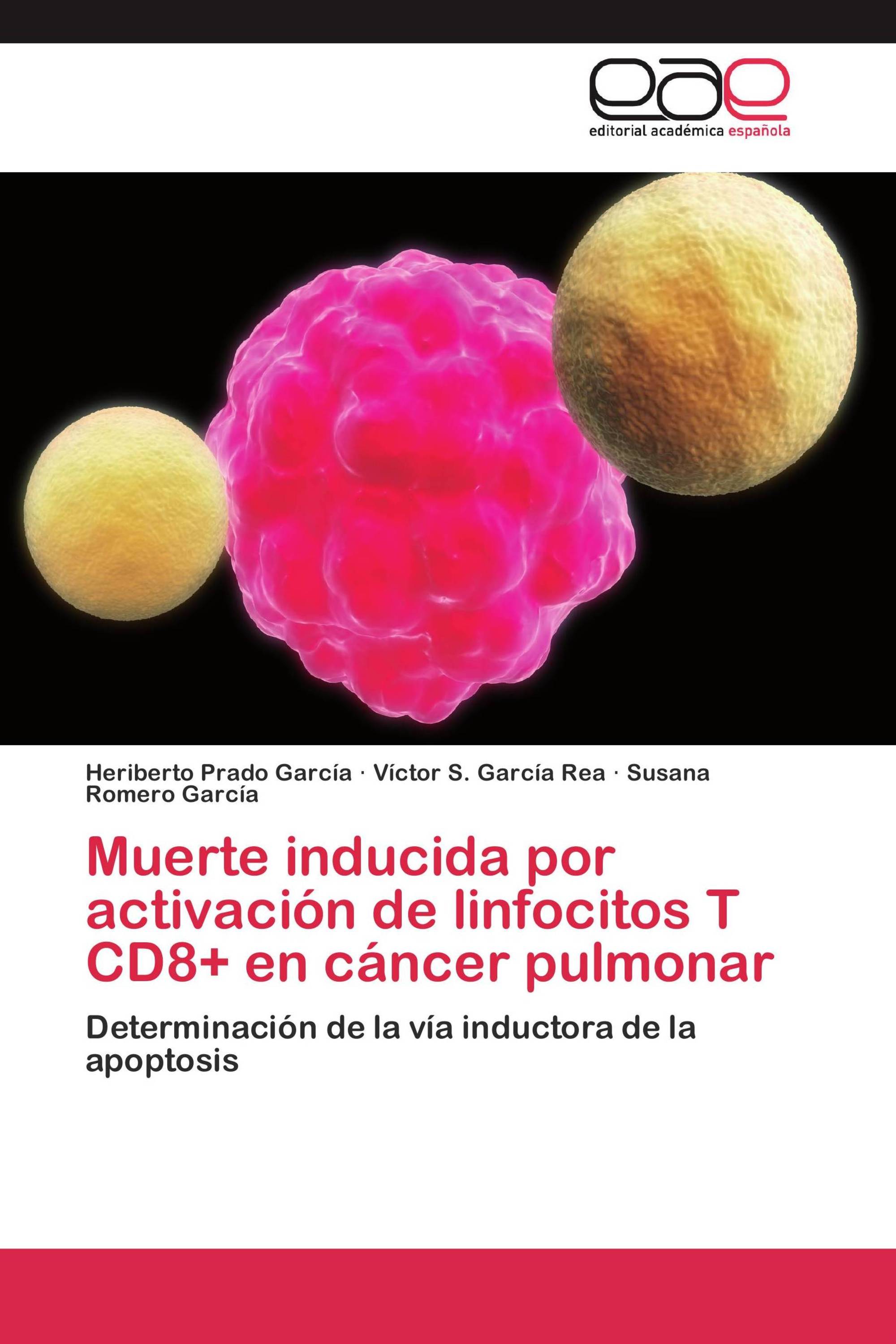 Muerte inducida por activación de linfocitos T CD8+ en cáncer pulmonar