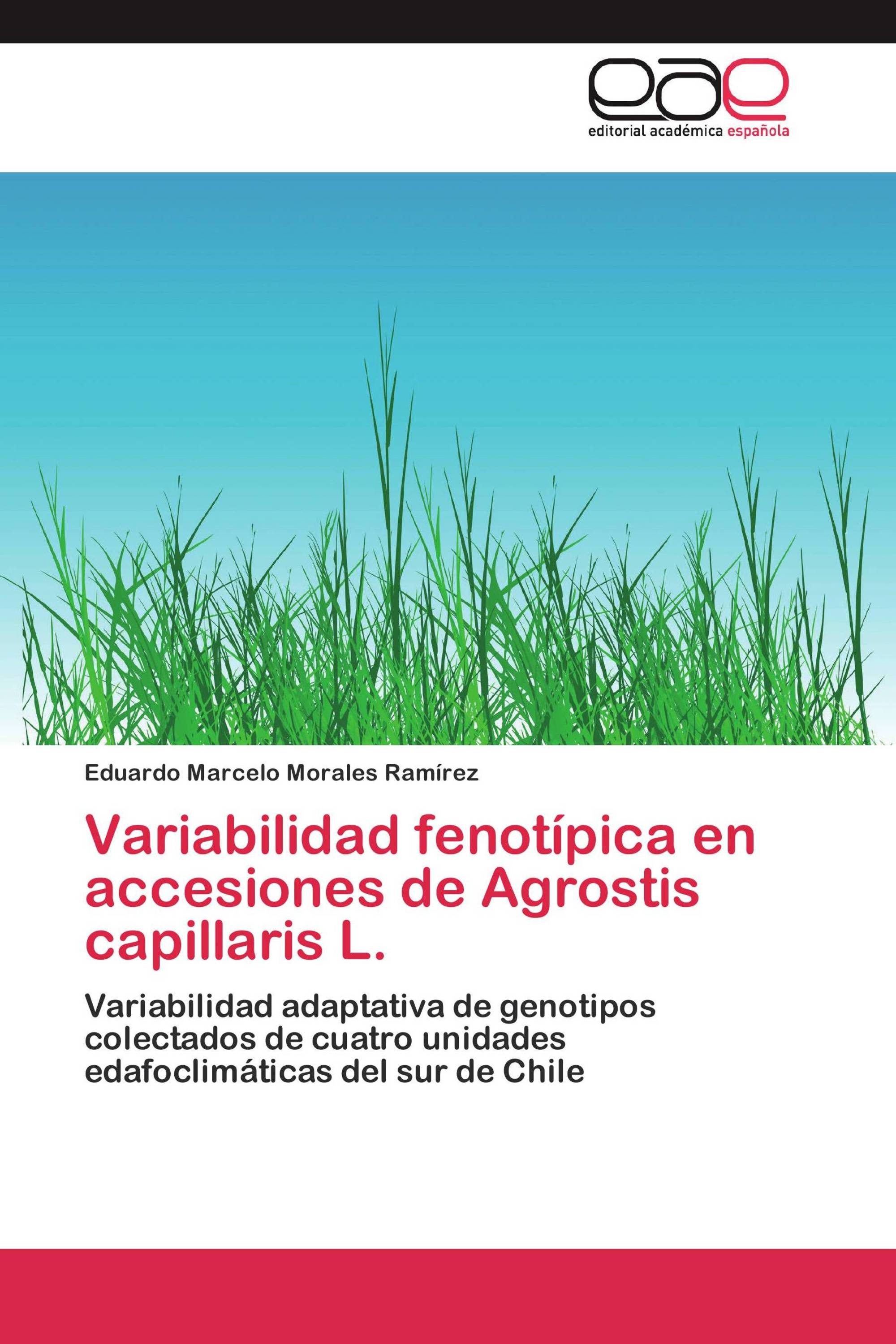 Variabilidad fenotípica en accesiones de Agrostis capillaris L.