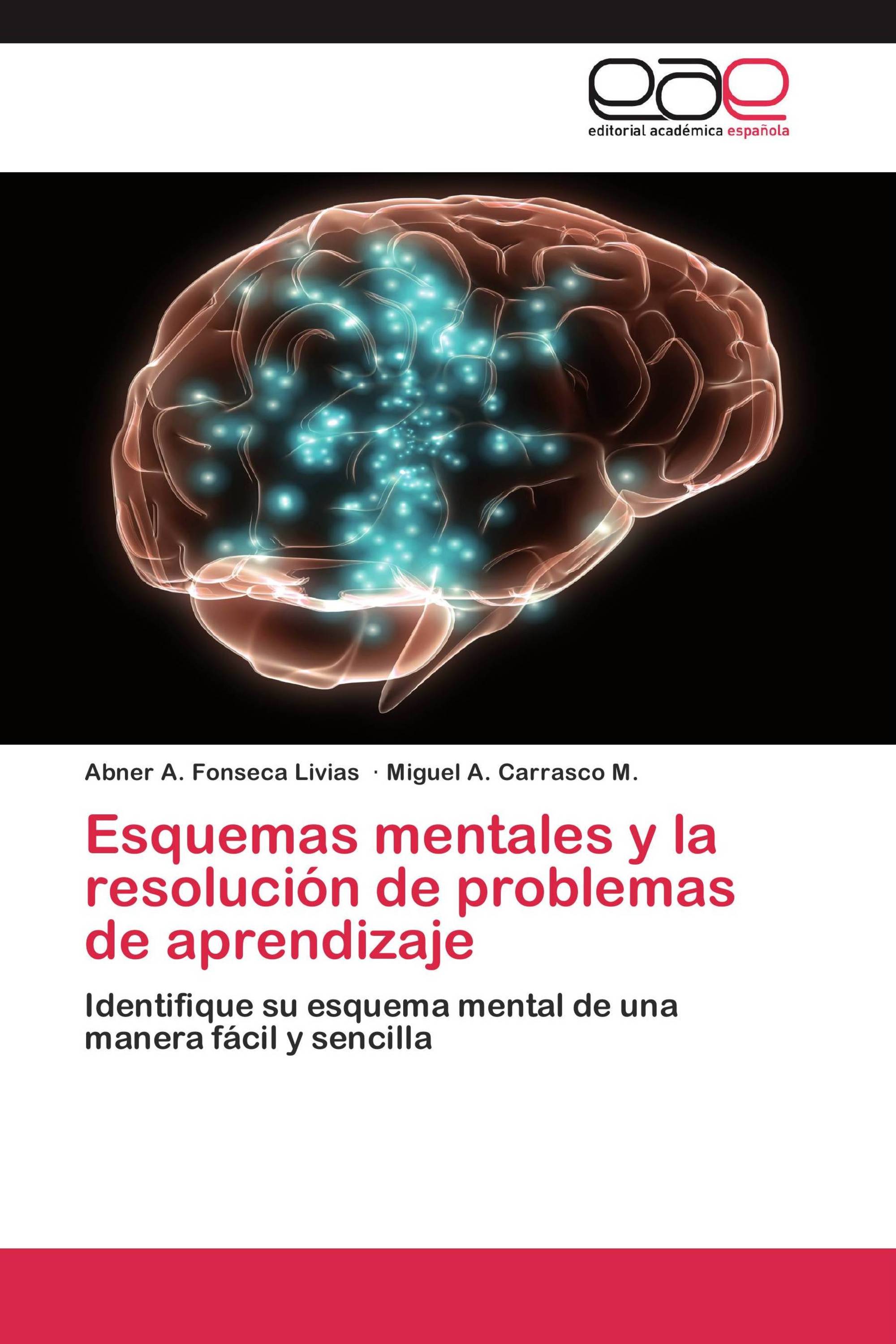 Esquemas mentales y la resolución de problemas de aprendizaje