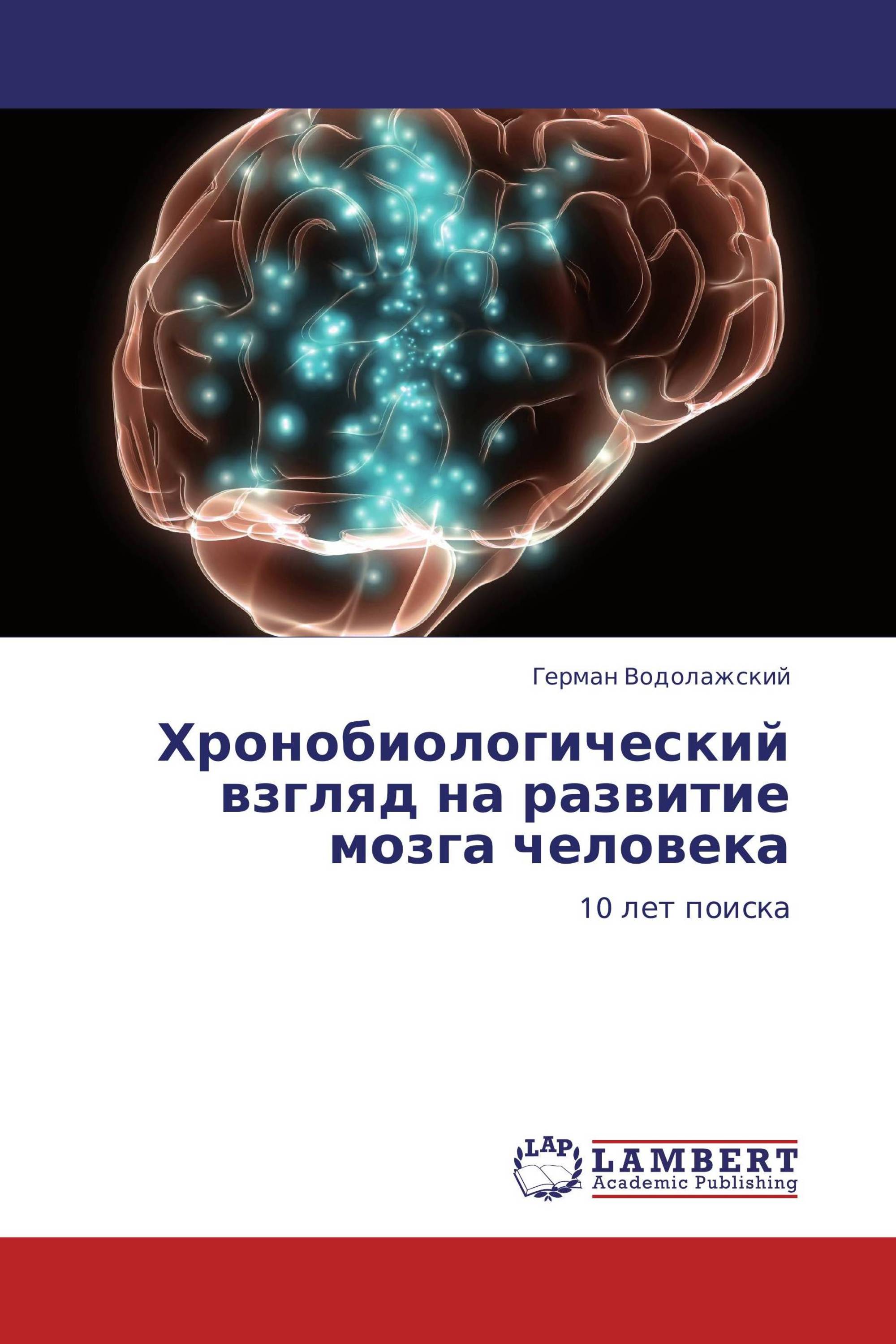 Хронобиологический взгляд на развитие мозга человека