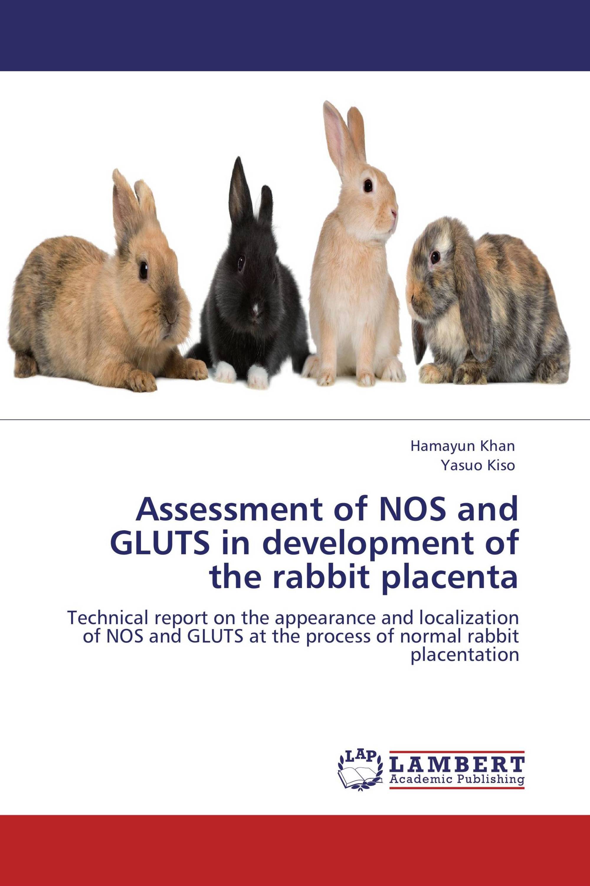 Assessment of NOS and  GLUTS in development of the rabbit placenta