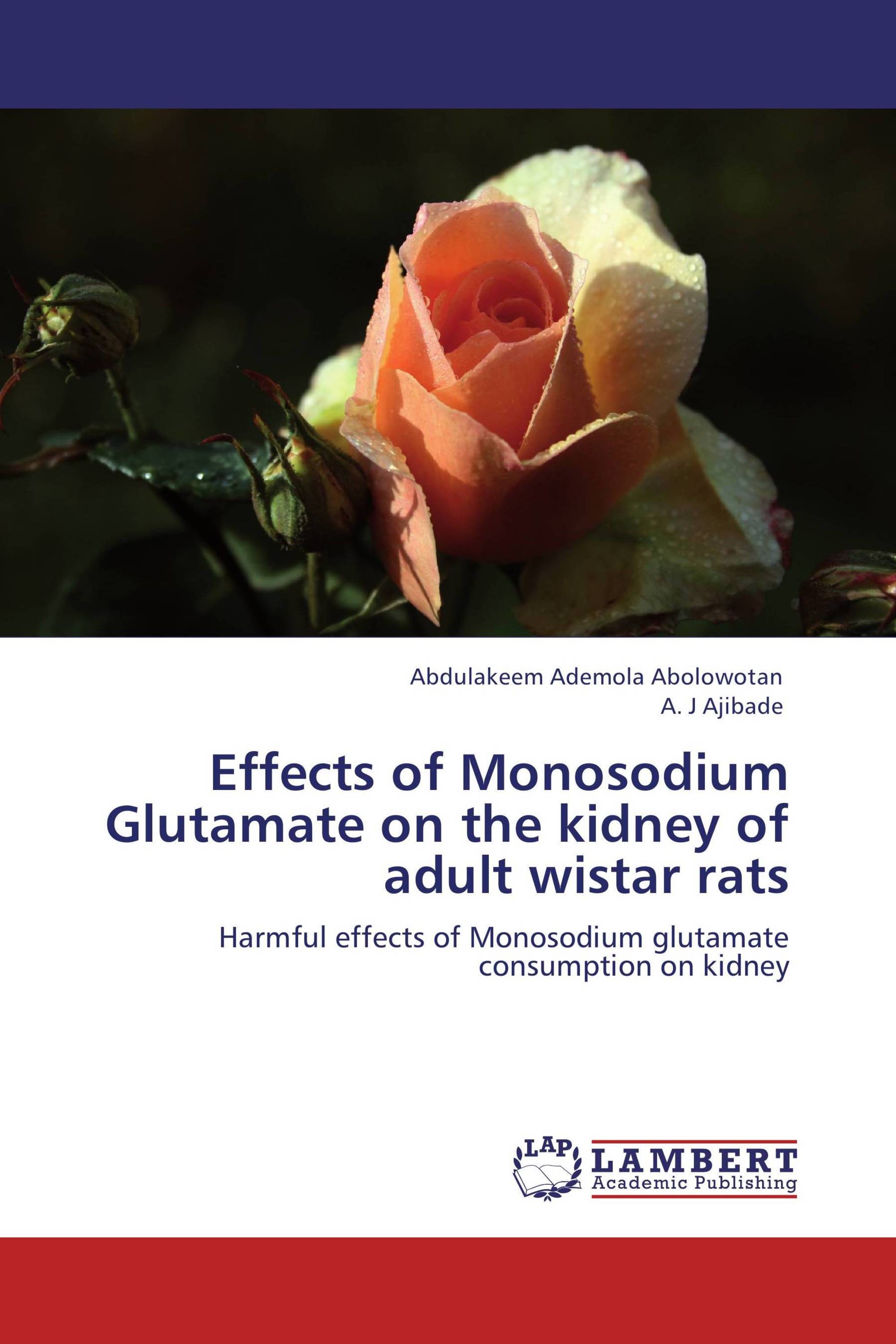 Effects of Monosodium Glutamate  on the kidney of adult wistar rats