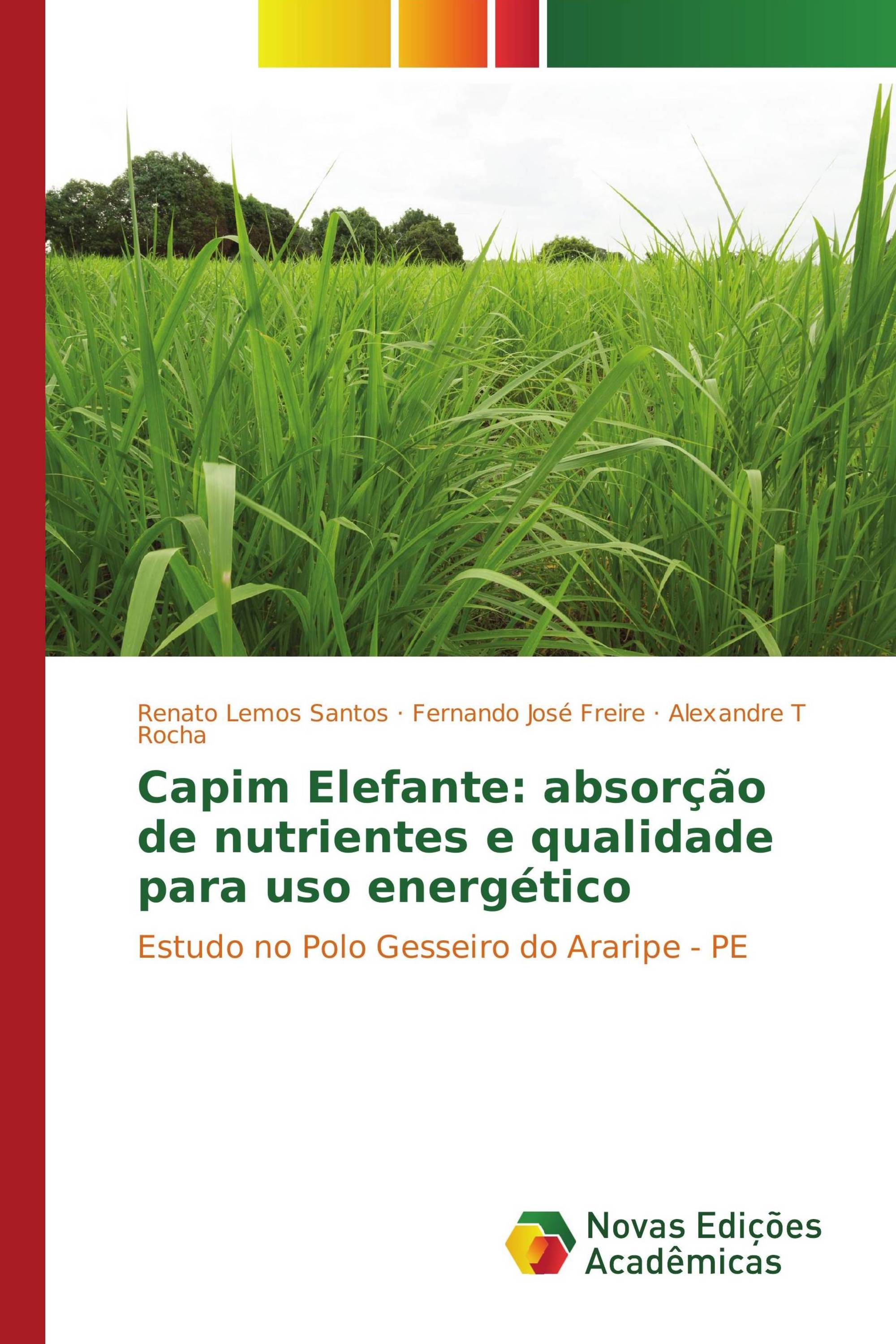 Capim Elefante: absorção de nutrientes e qualidade para uso energético