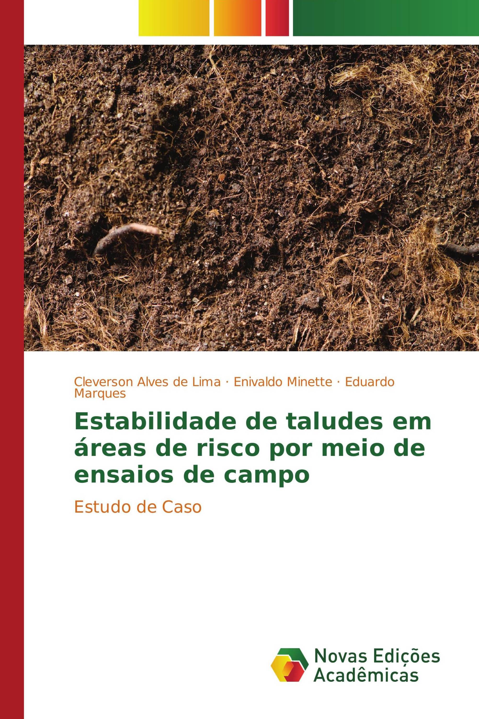 Estabilidade de taludes em áreas de risco por meio de ensaios de campo