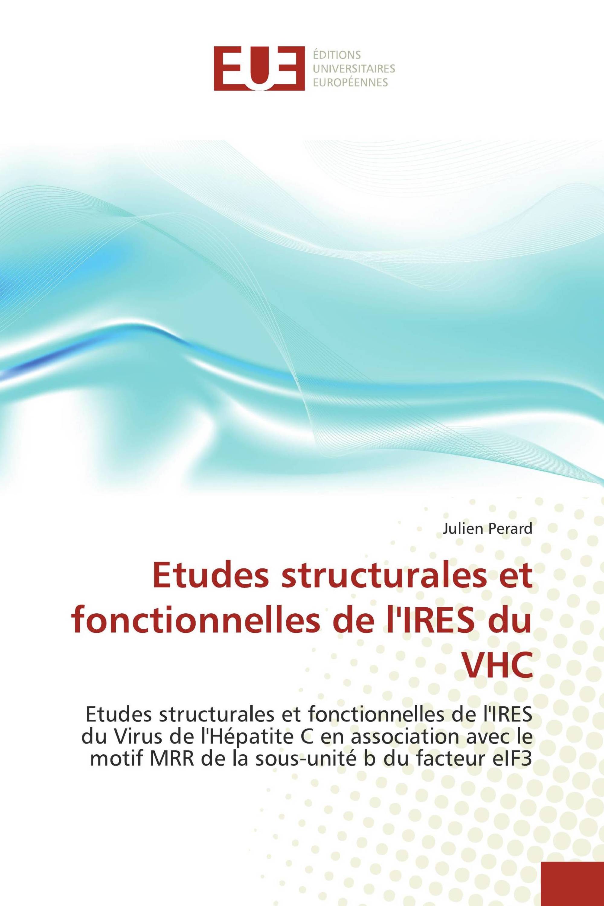 Etudes structurales et fonctionnelles de l'IRES du VHC