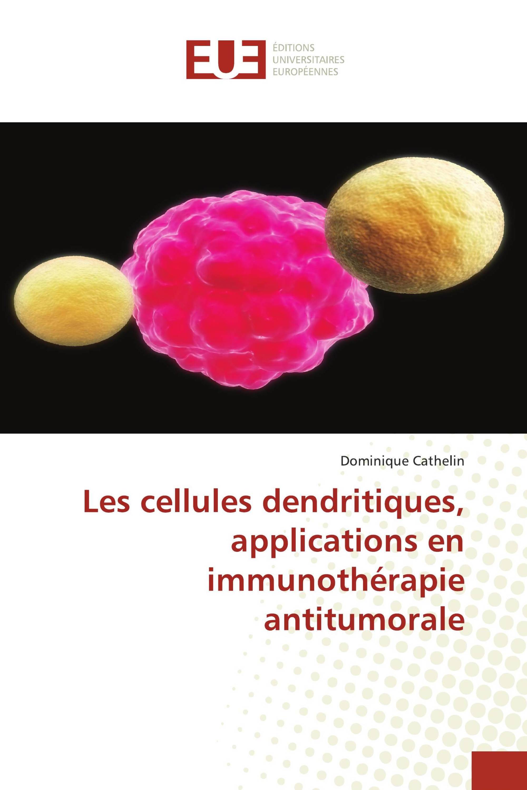 Les cellules dendritiques, applications en immunothérapie antitumorale