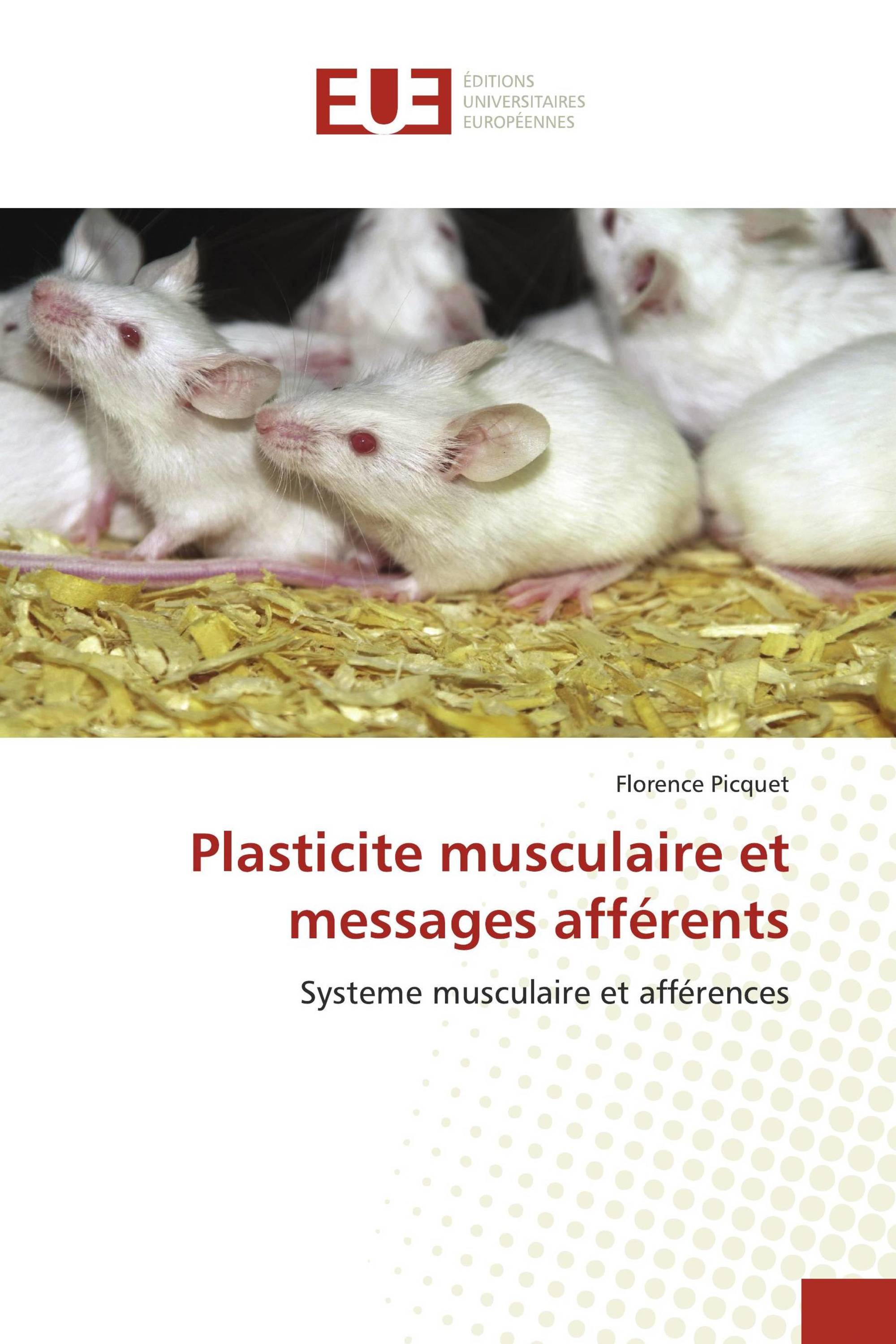 Plasticite musculaire et messages afférents