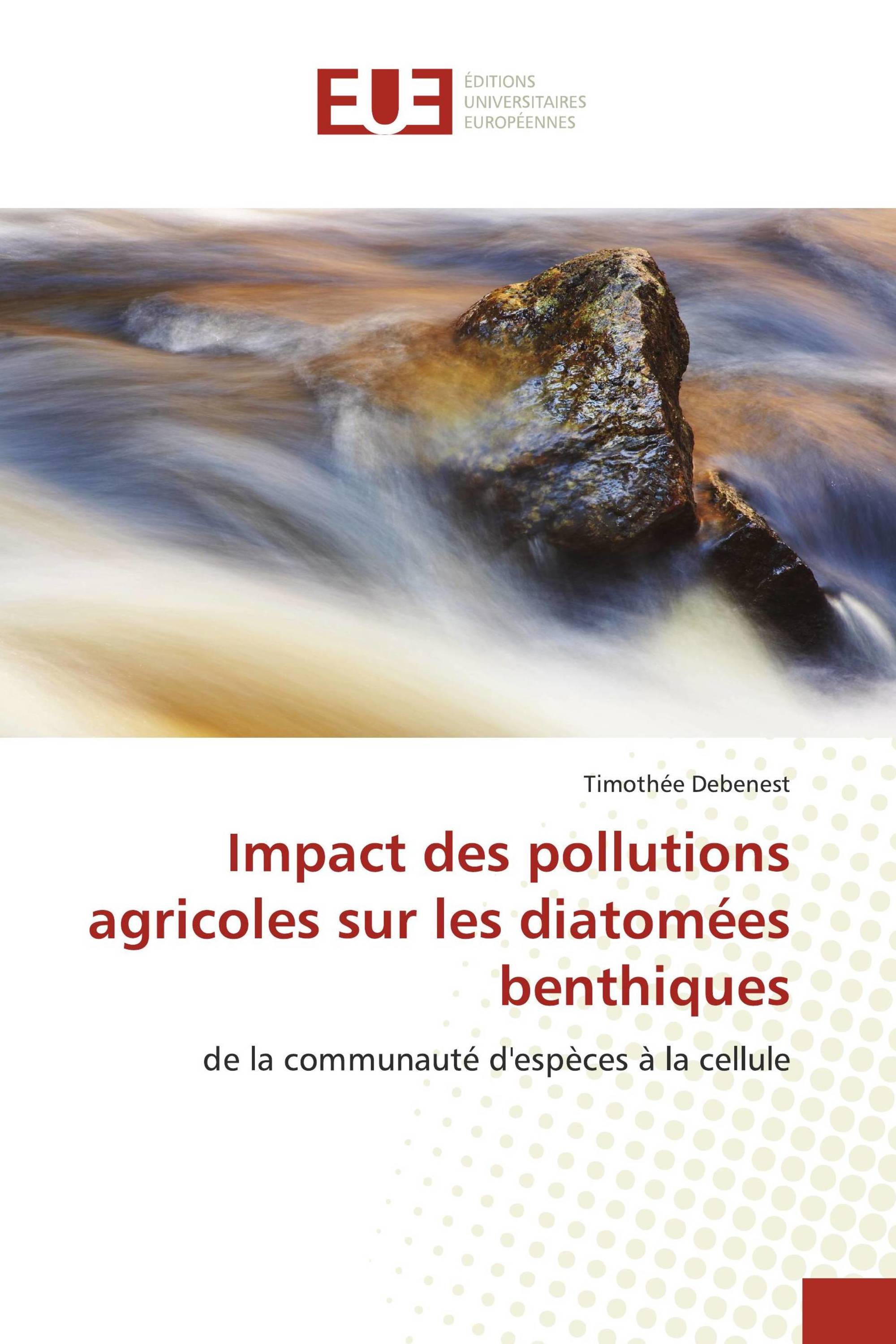 Impact des pollutions agricoles sur les diatomées benthiques