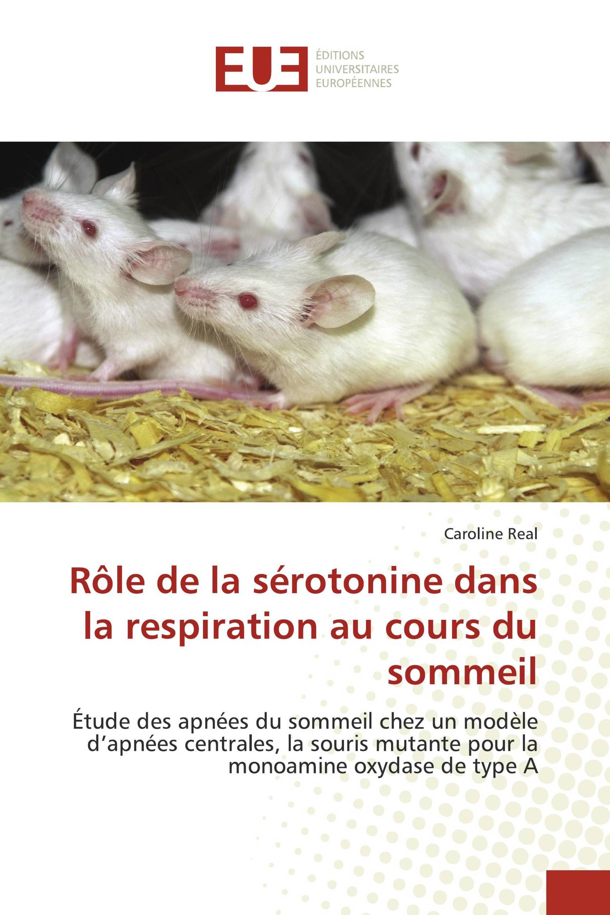 Rôle de la sérotonine dans la respiration au cours du sommeil