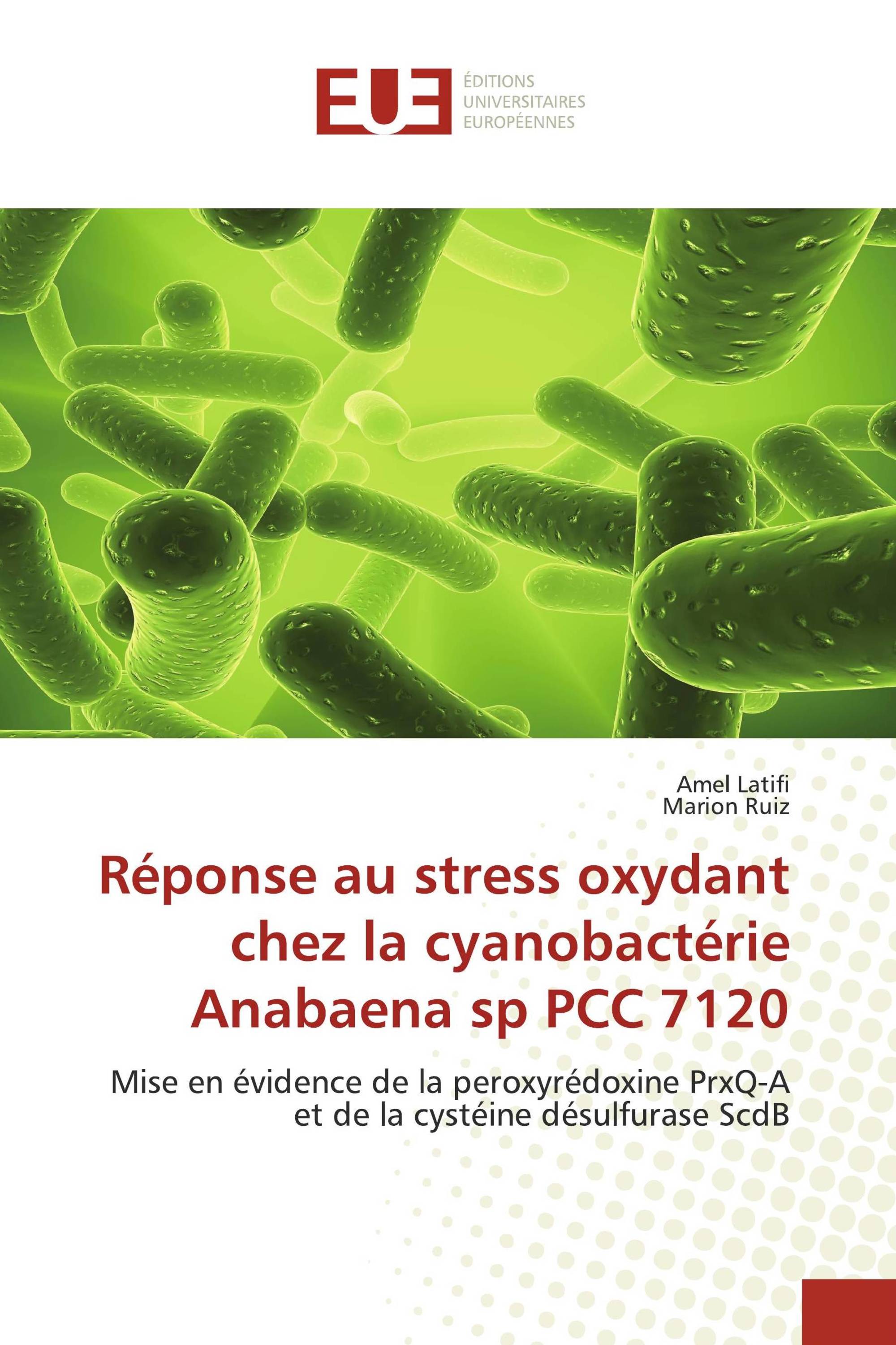 Réponse au stress oxydant chez la cyanobactérie Anabaena sp PCC 7120